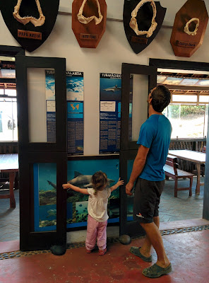 musée du requin