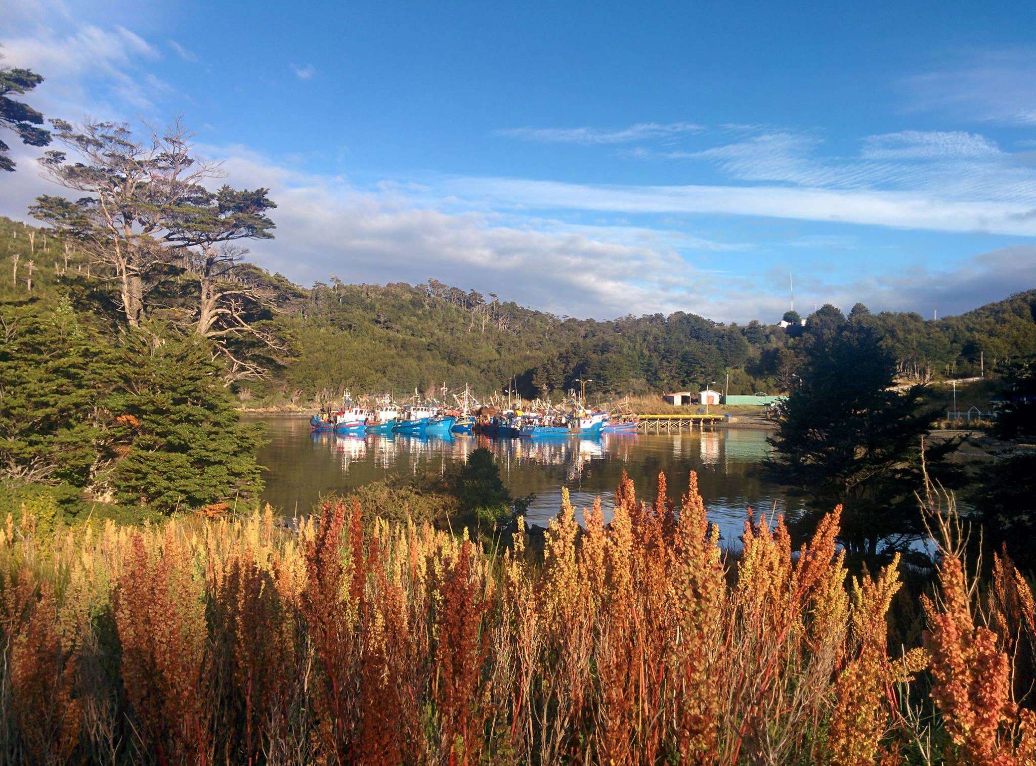 Bateaux de pêche à Puerto Toro