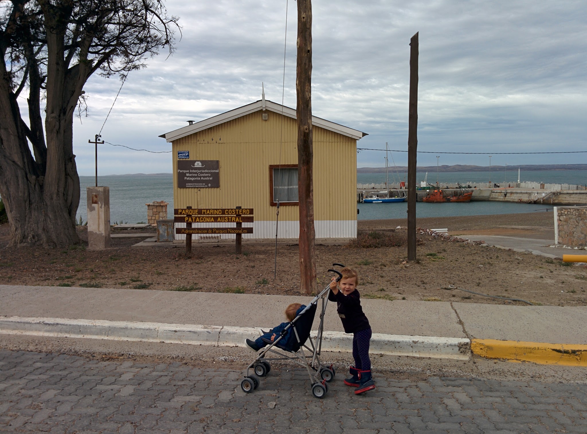 Camarones