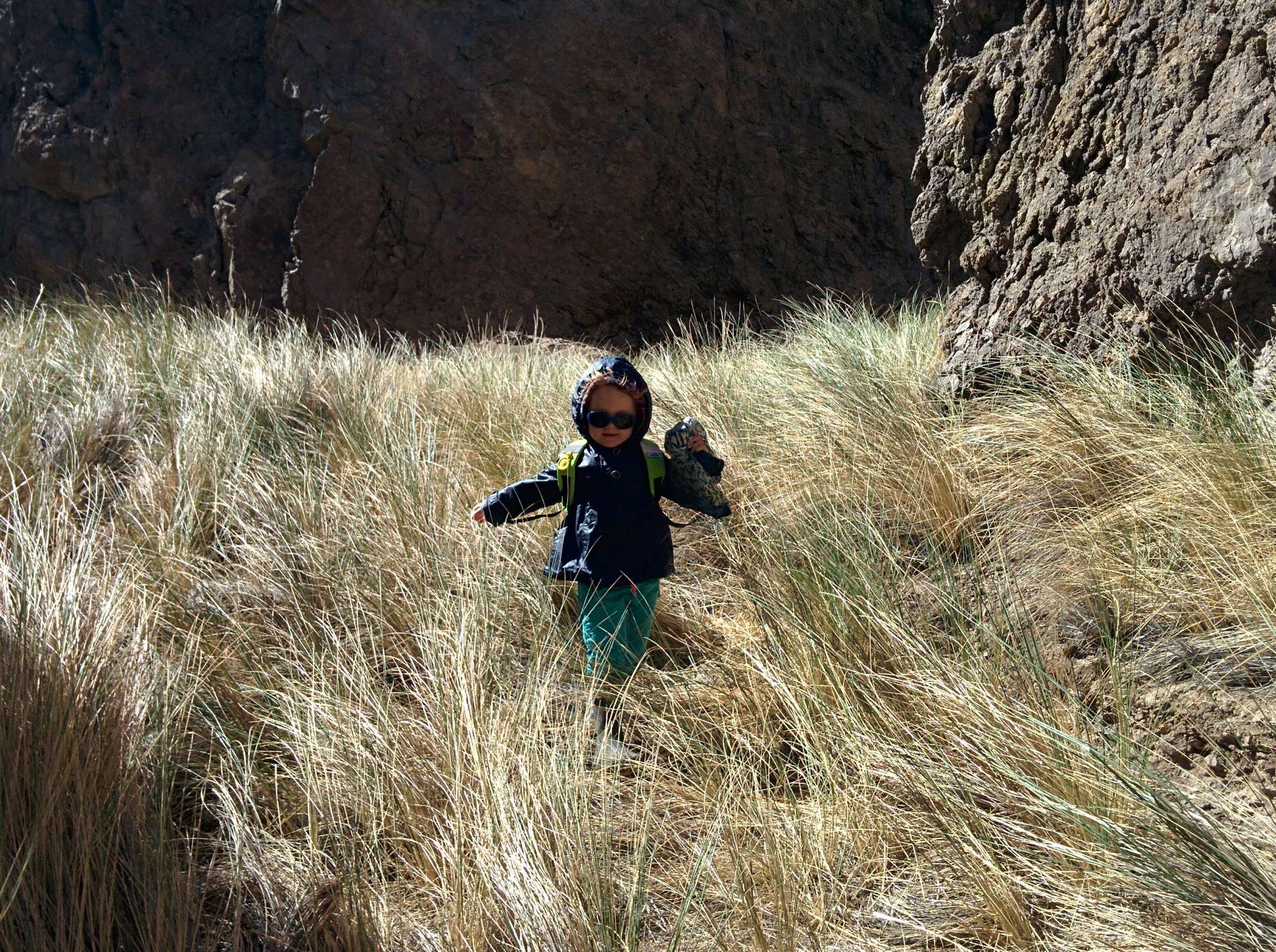 Nina dans les hautes herbes
