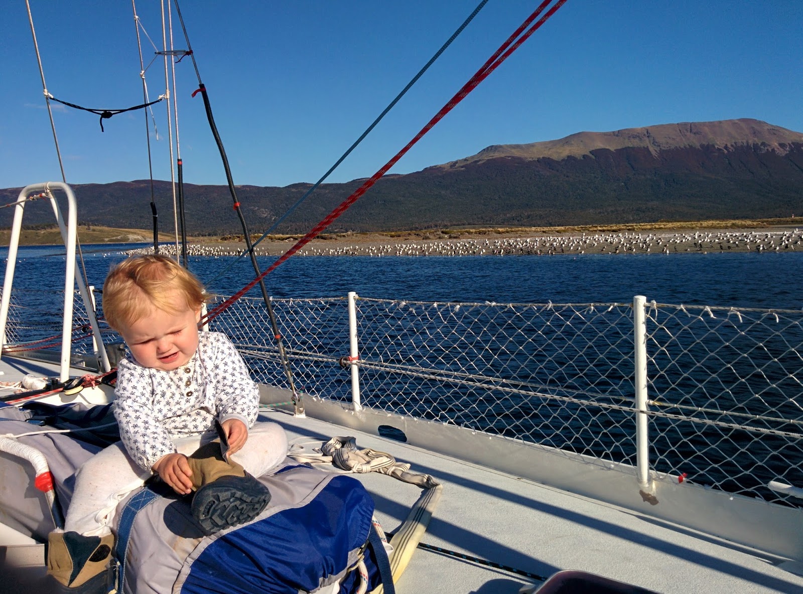 Devant l'entrée du Beagle