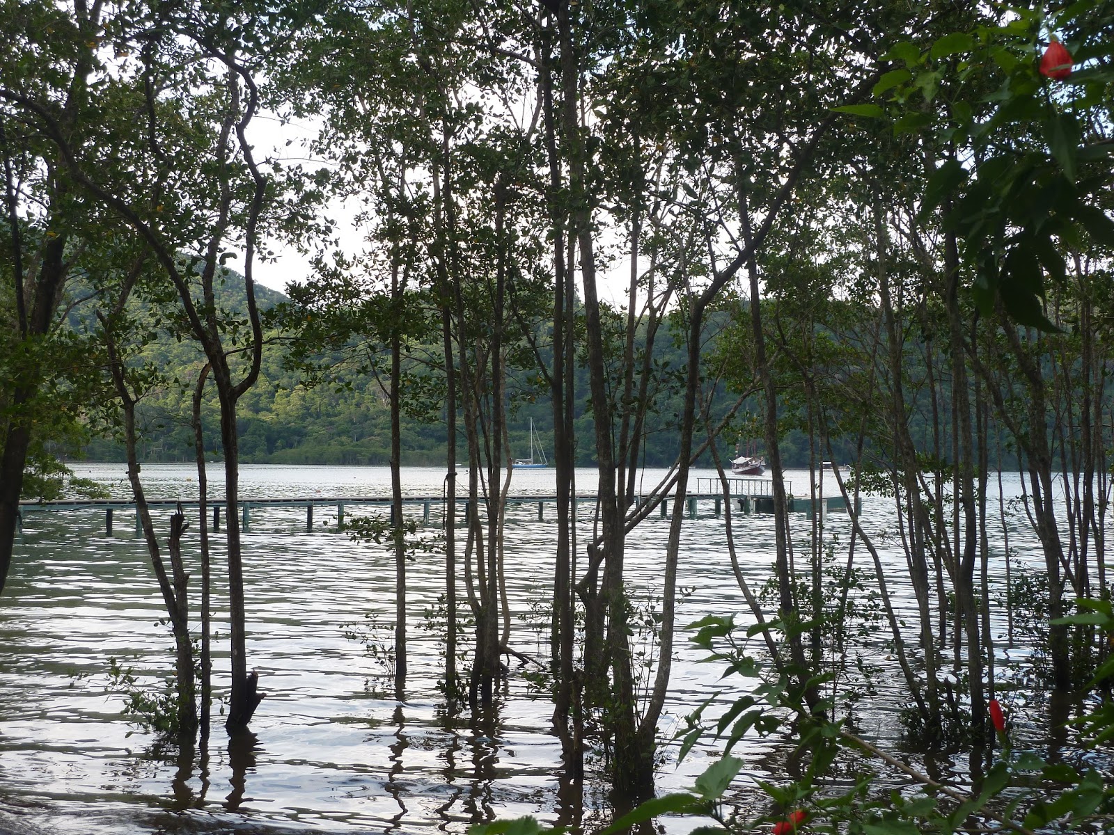 Ilha Grande et Paraty