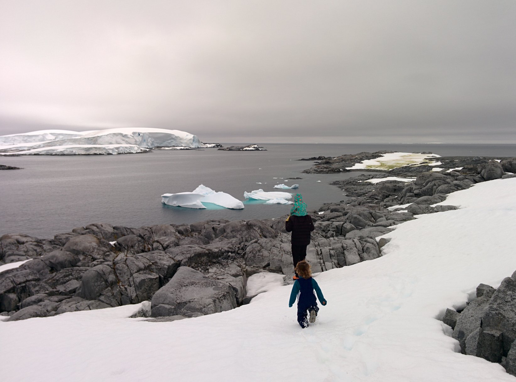 Antarctic Peninsula