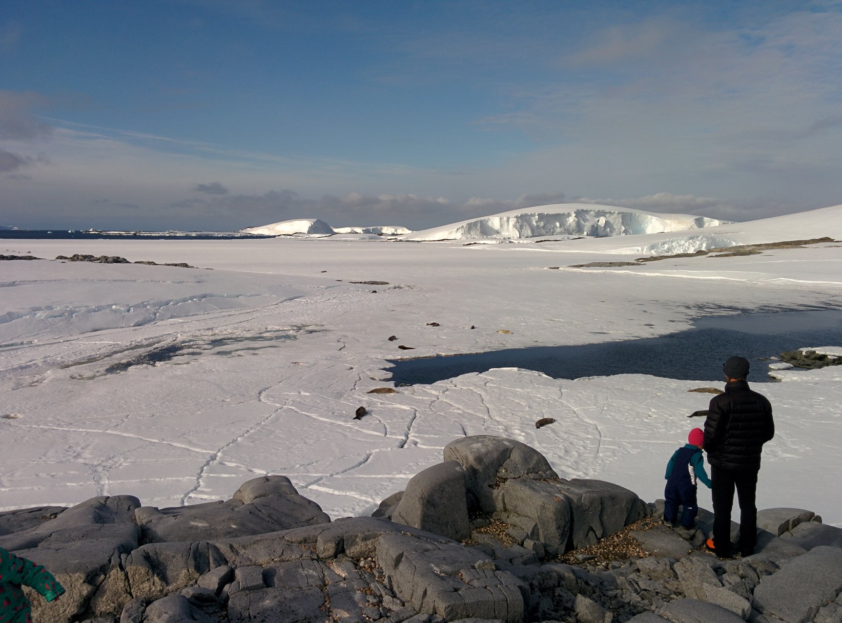 Antarctic Peninsula