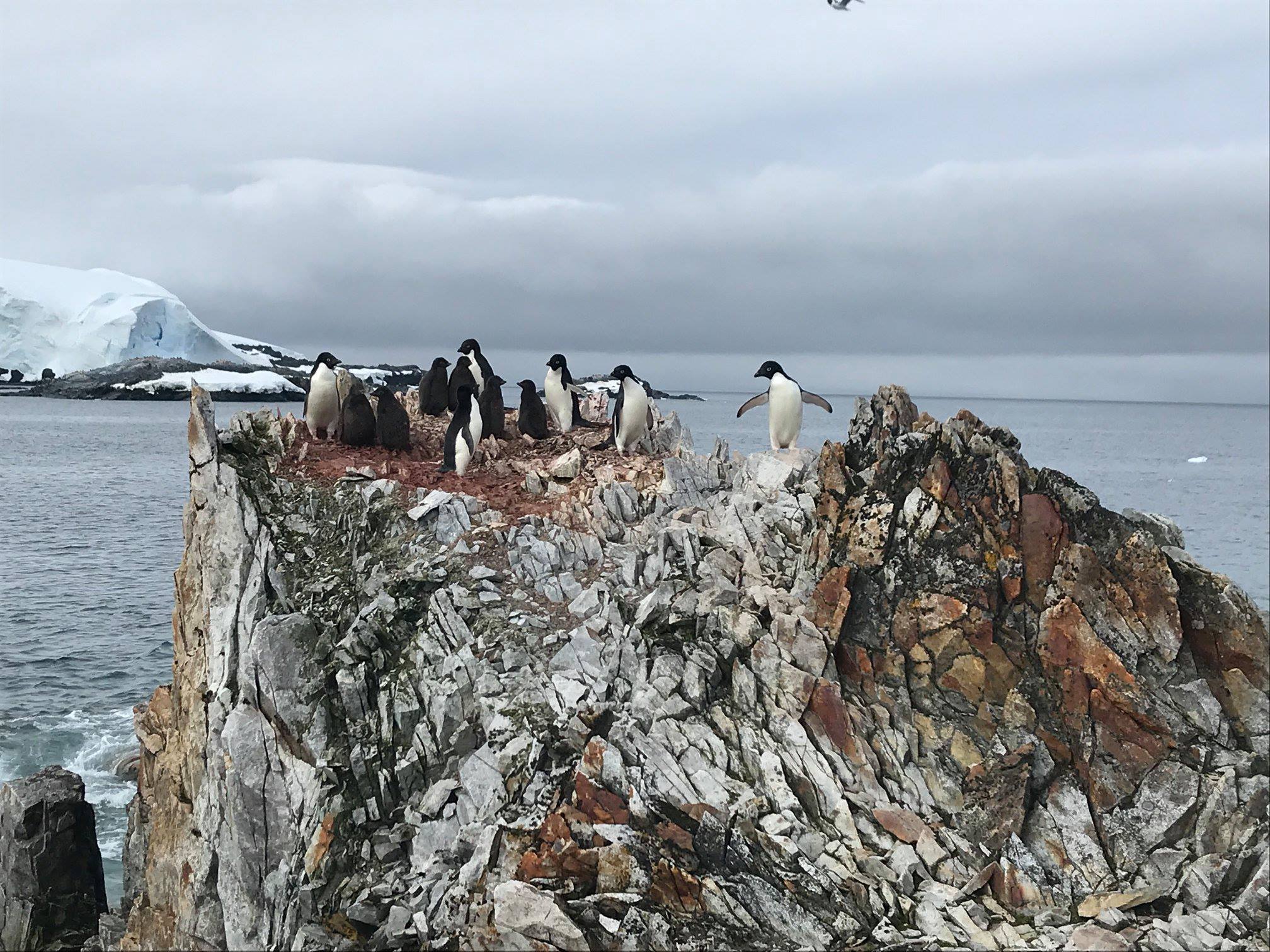Antarctic Peninsula