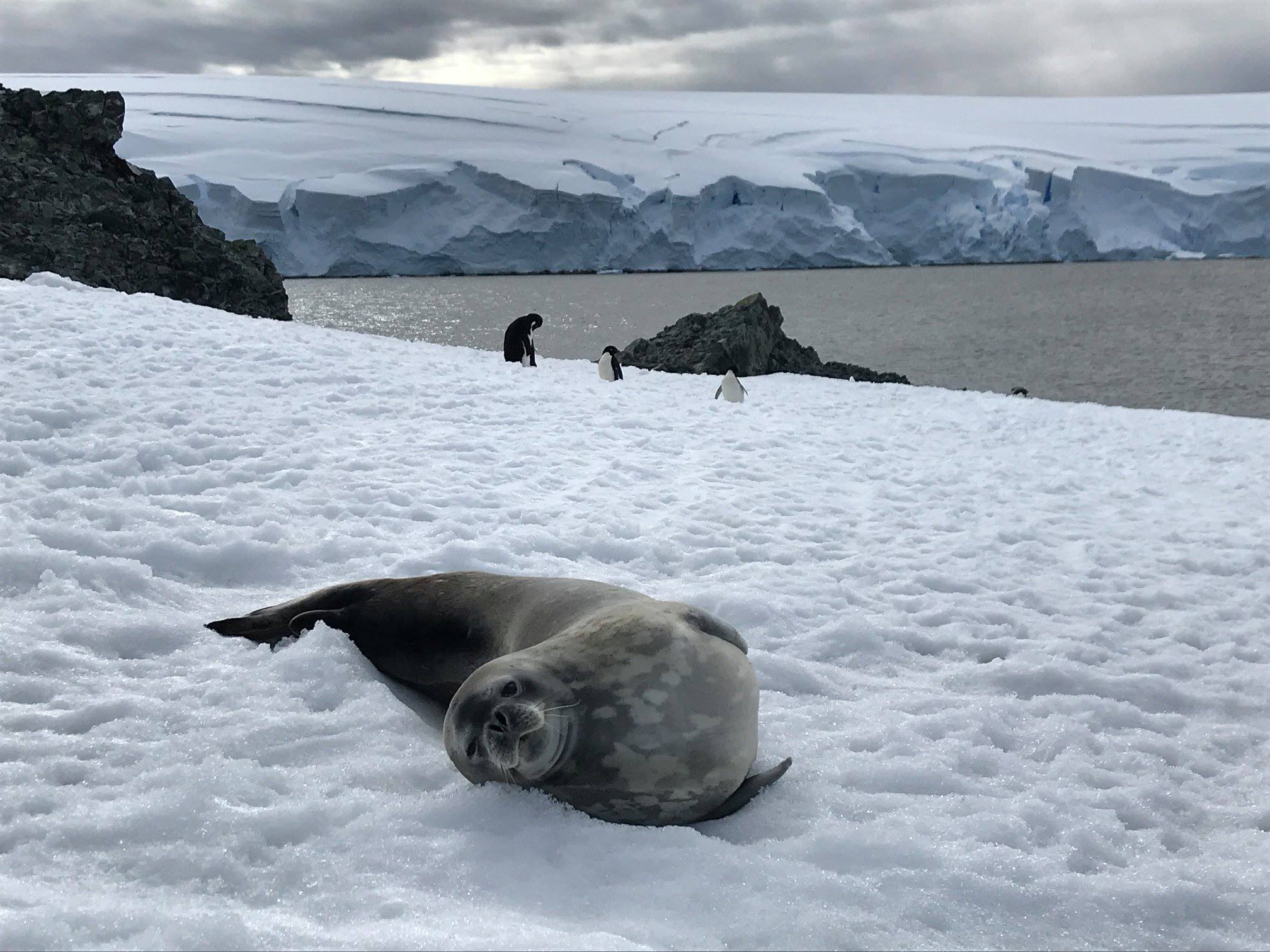 Antarctic Peninsula