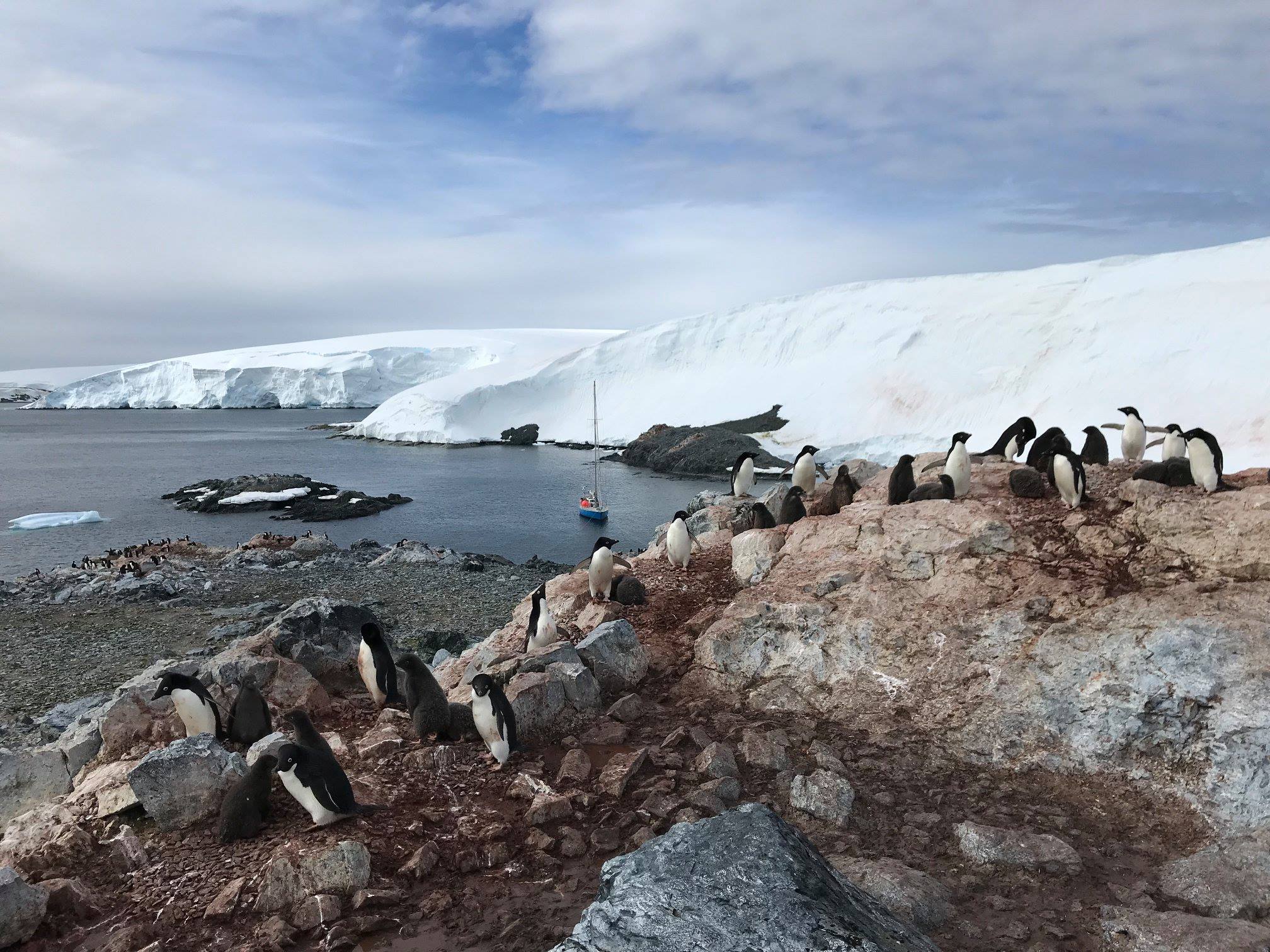 Antarctic Peninsula