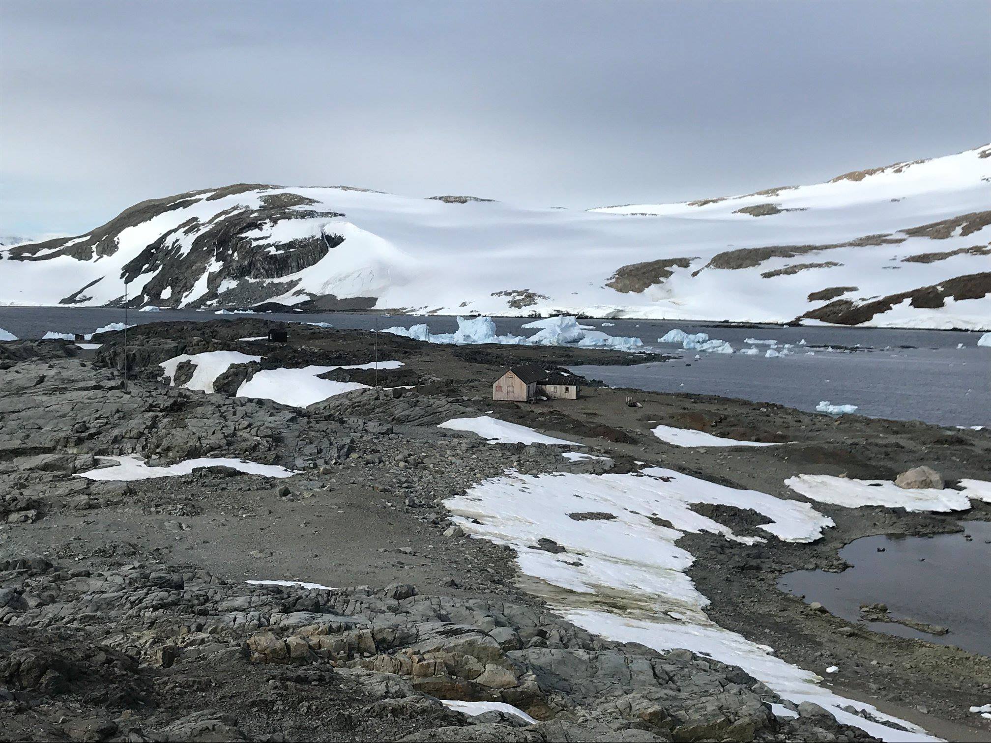Antarctic Peninsula