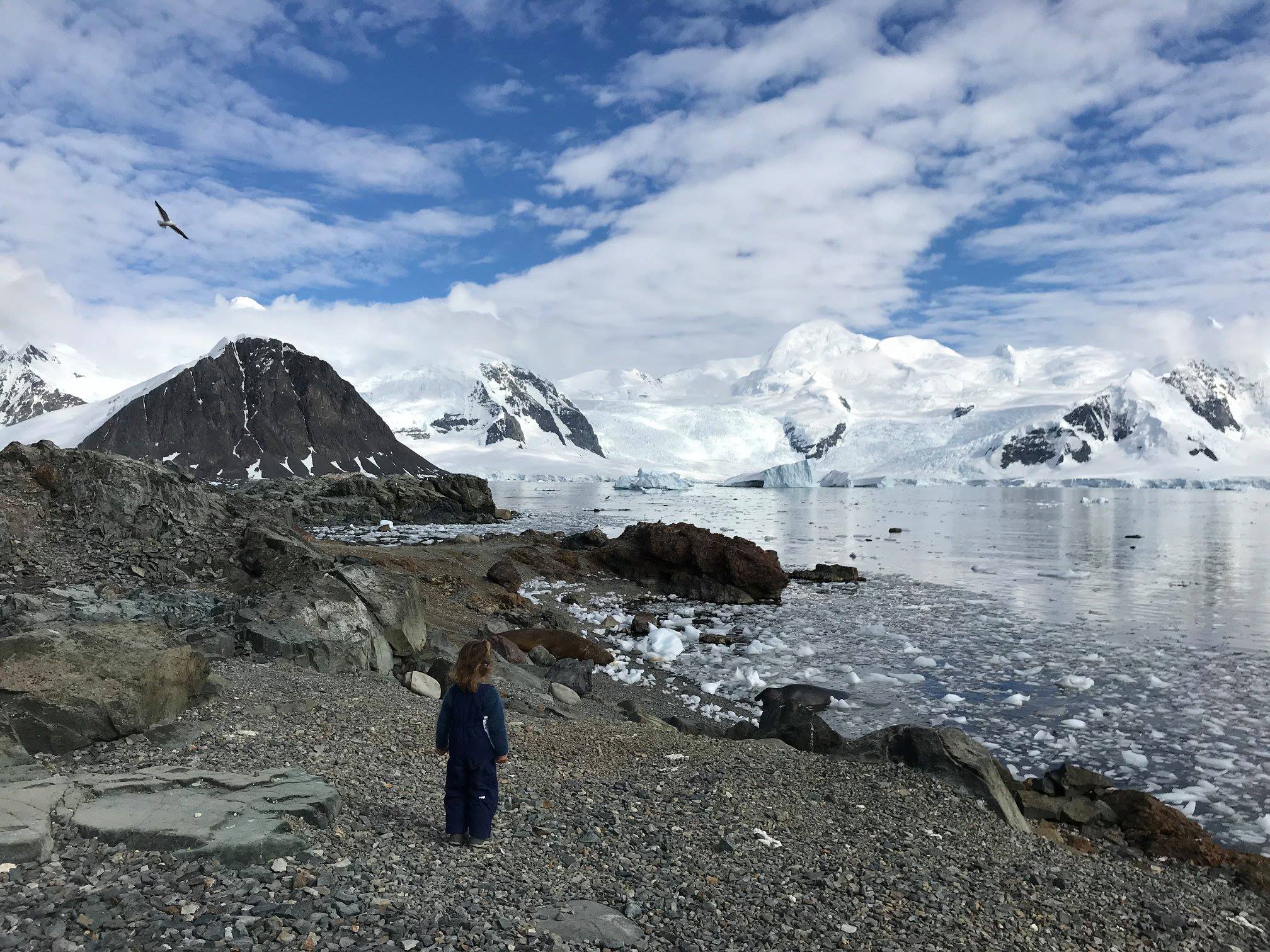 Antarctic Peninsula