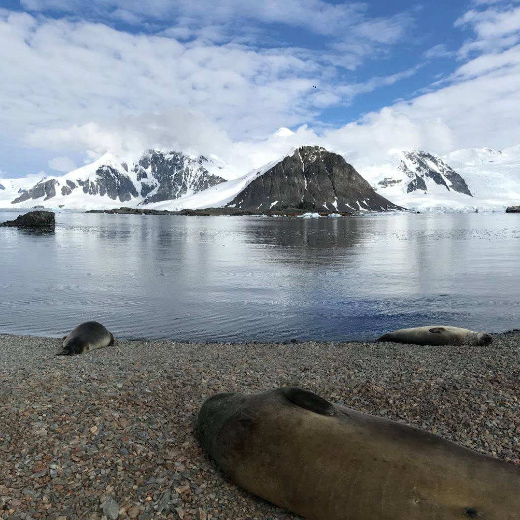 Antarctic Peninsula