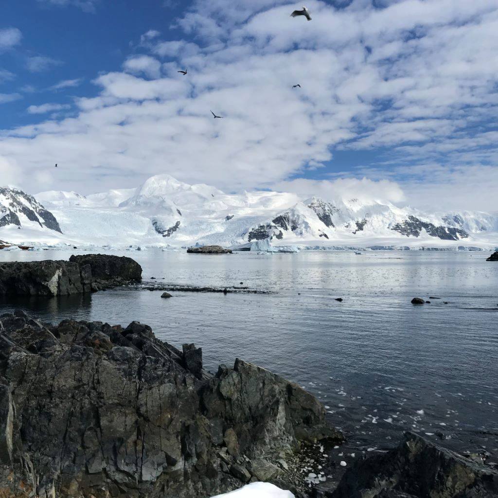 Antarctic Peninsula