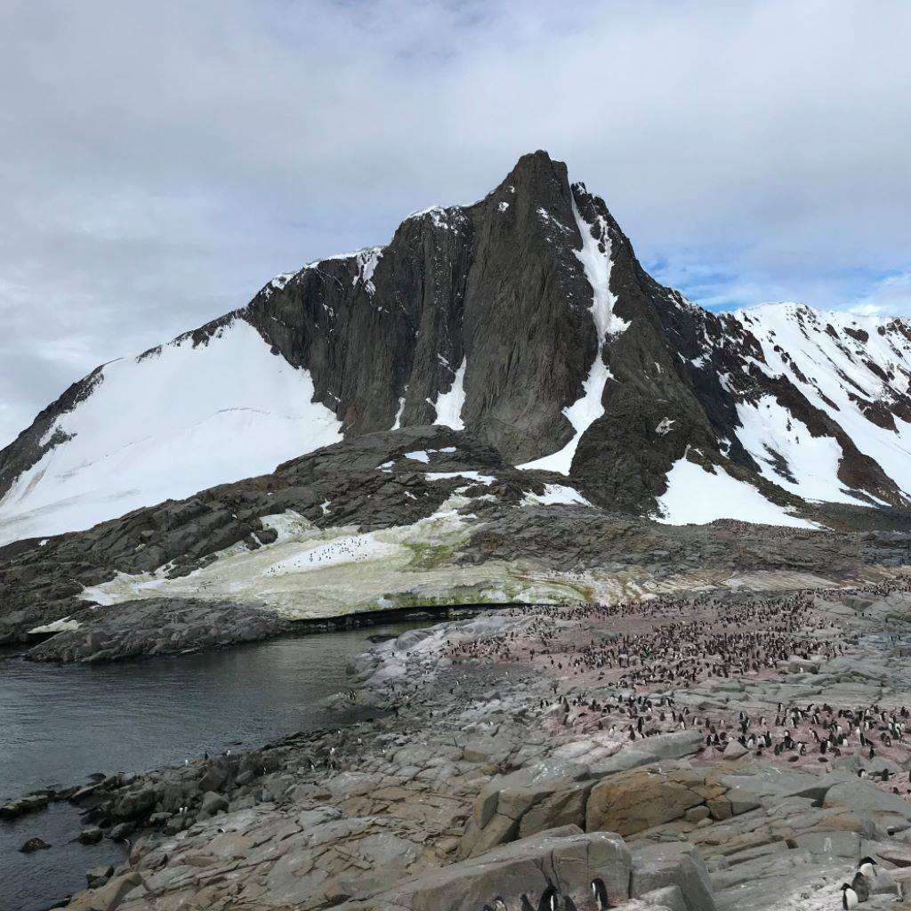 Antarctic Peninsula