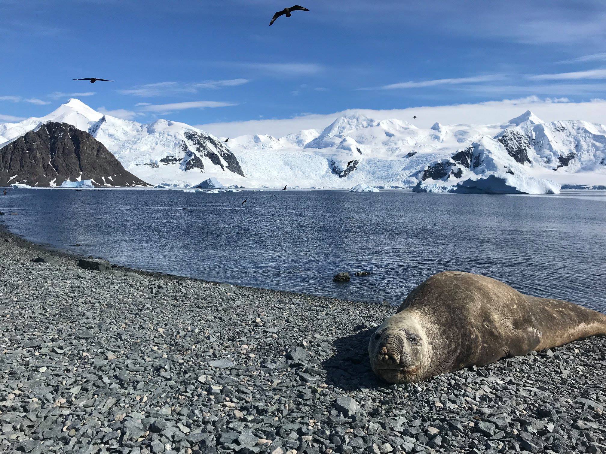 Antarctic Peninsula