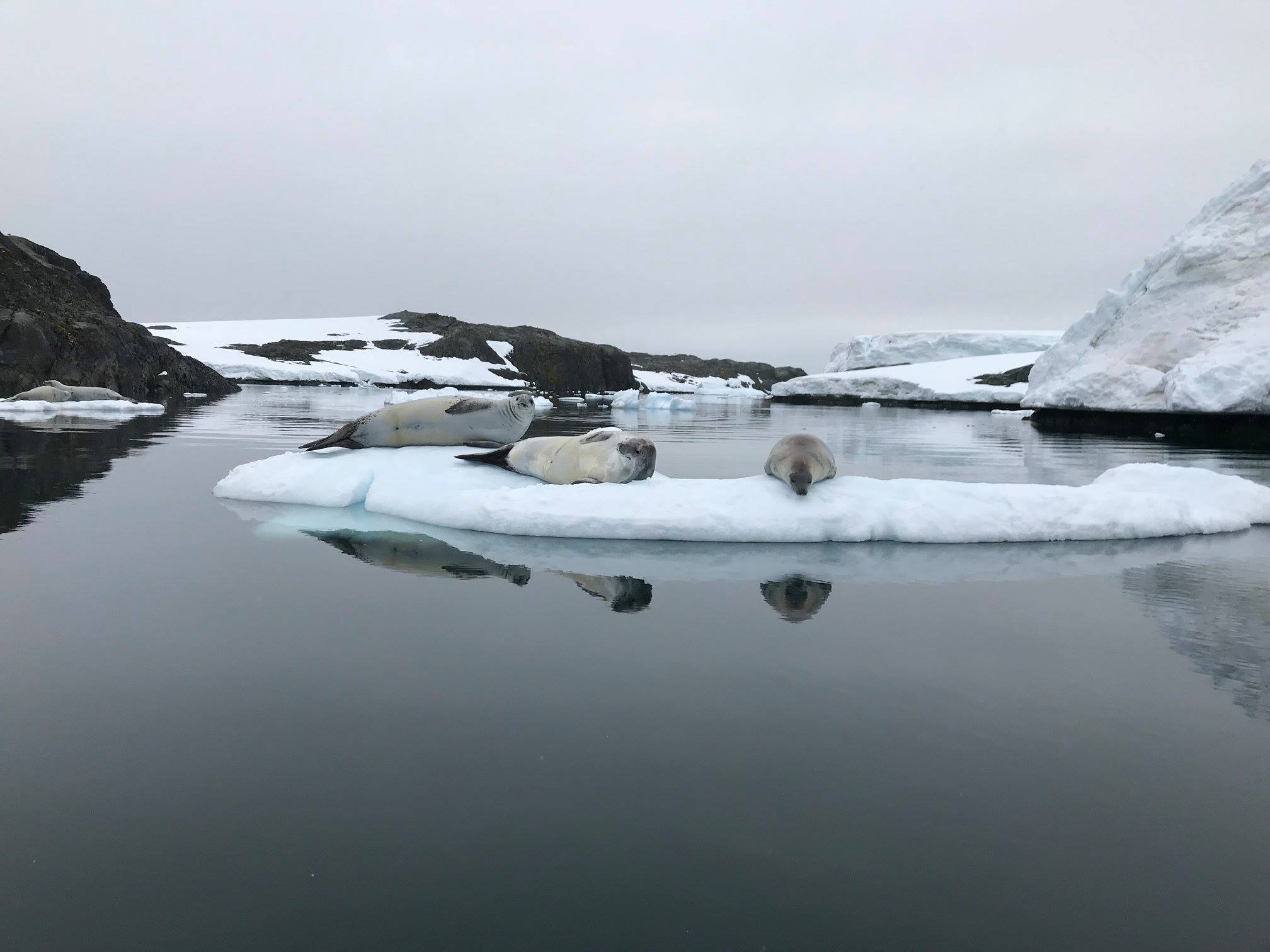 Antarctic Peninsula
