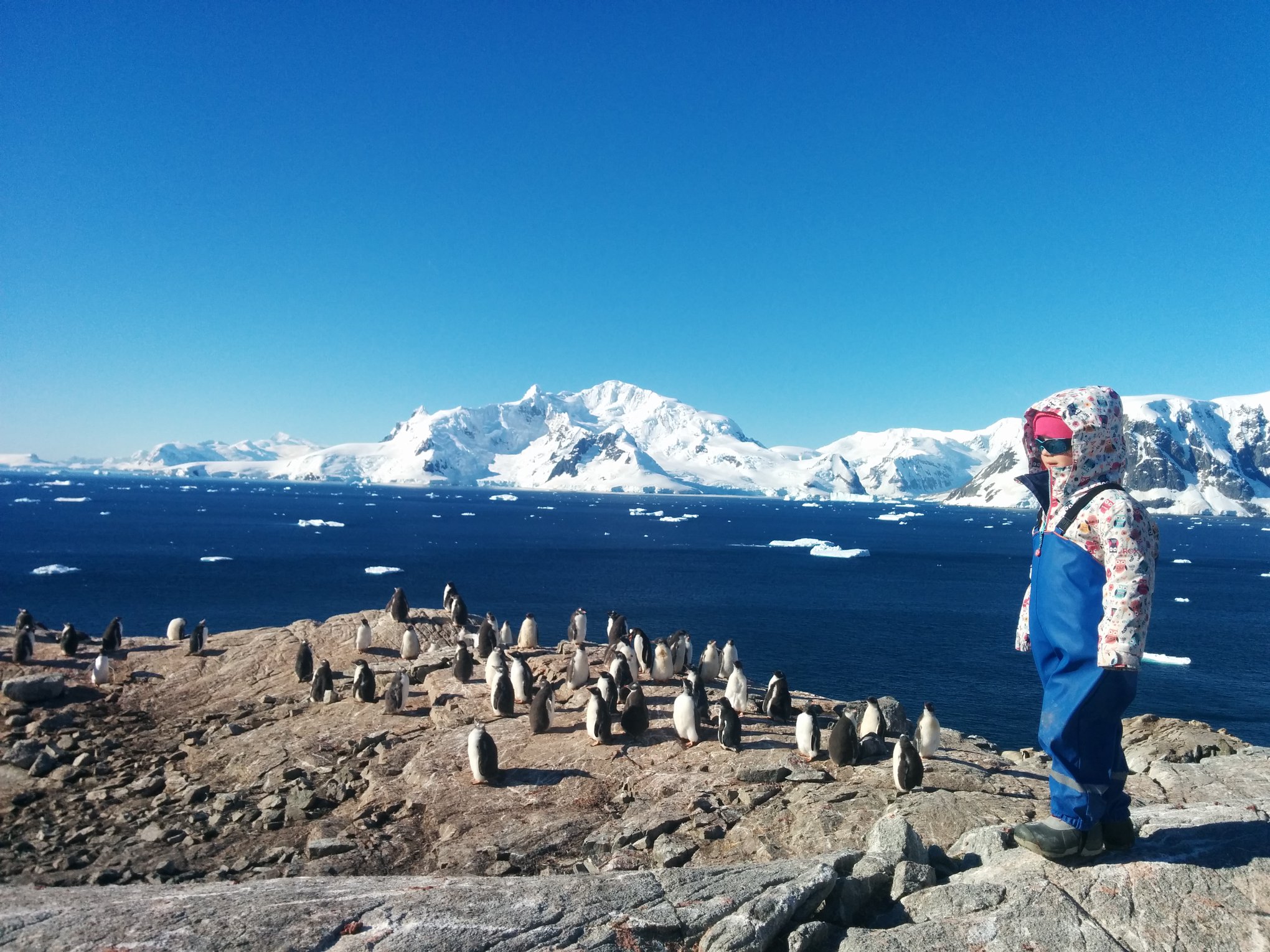 Antarctic Peninsula