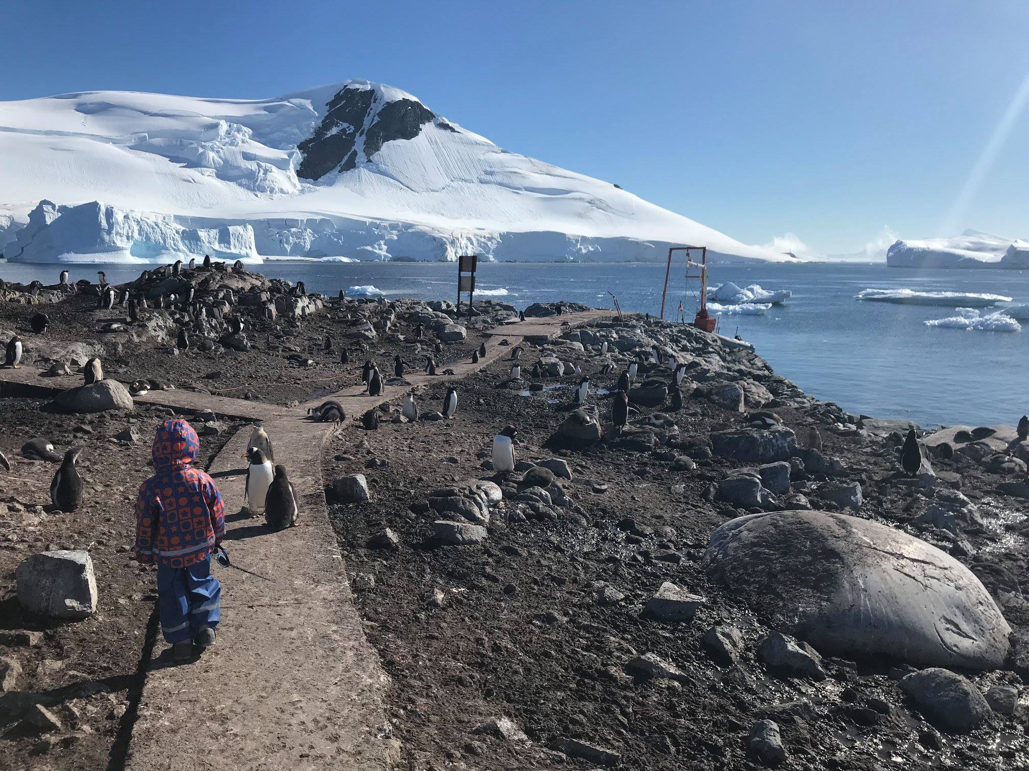 Antarctic Peninsula