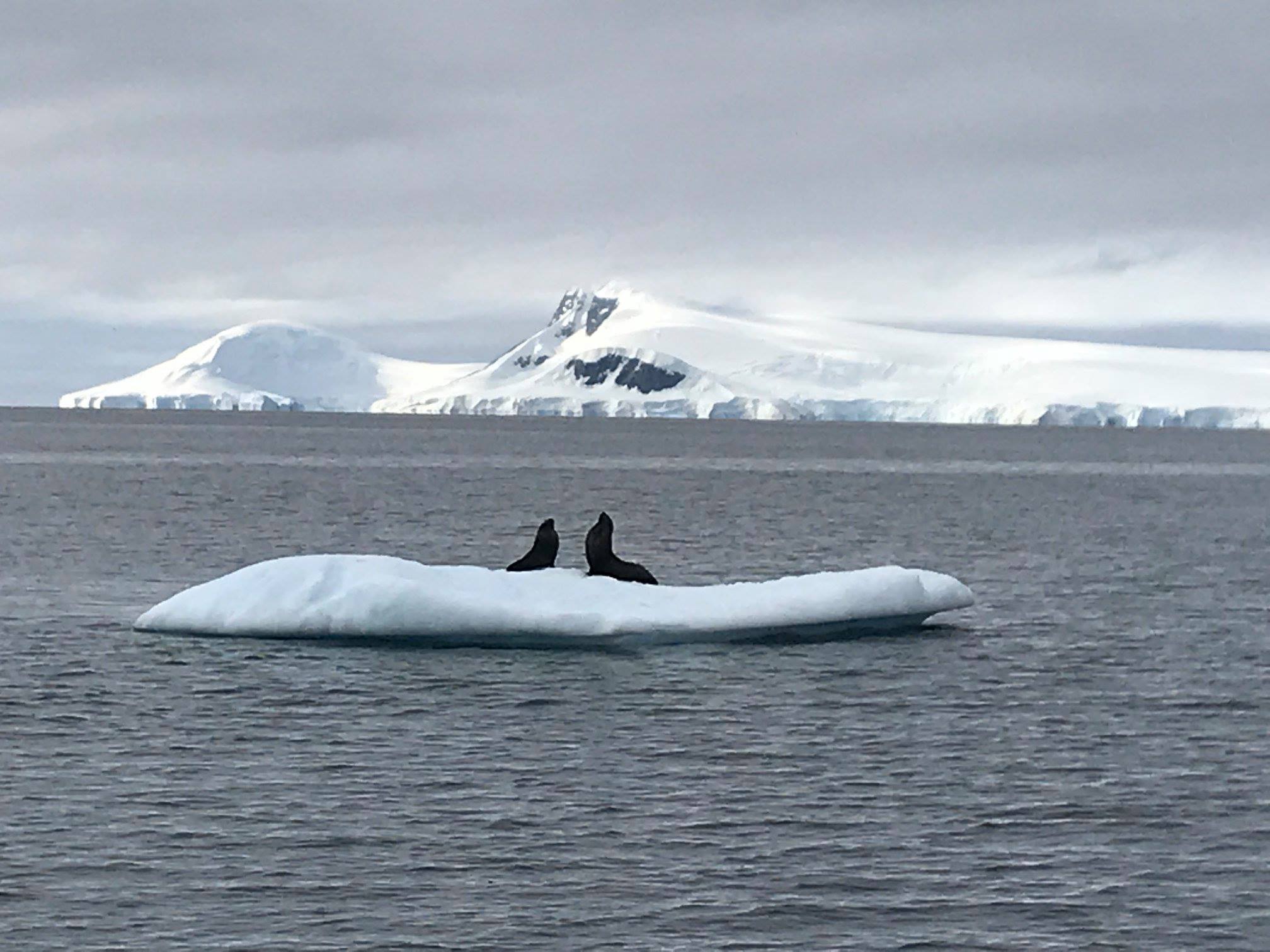 Antarctic Peninsula