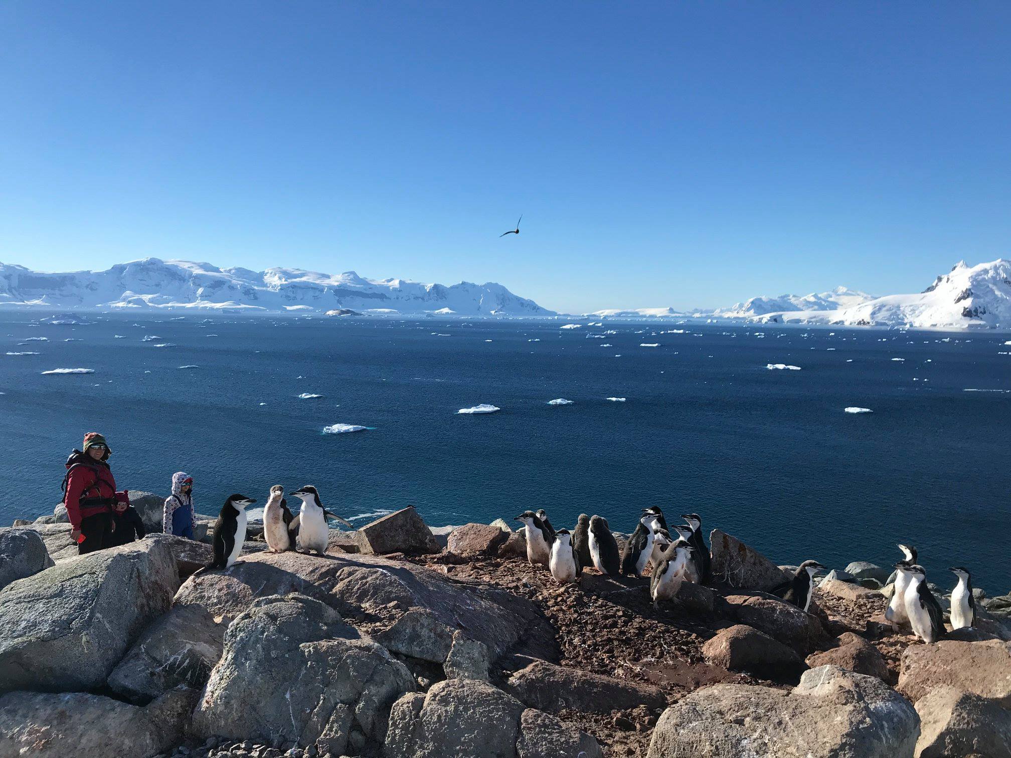 Antarctic Peninsula