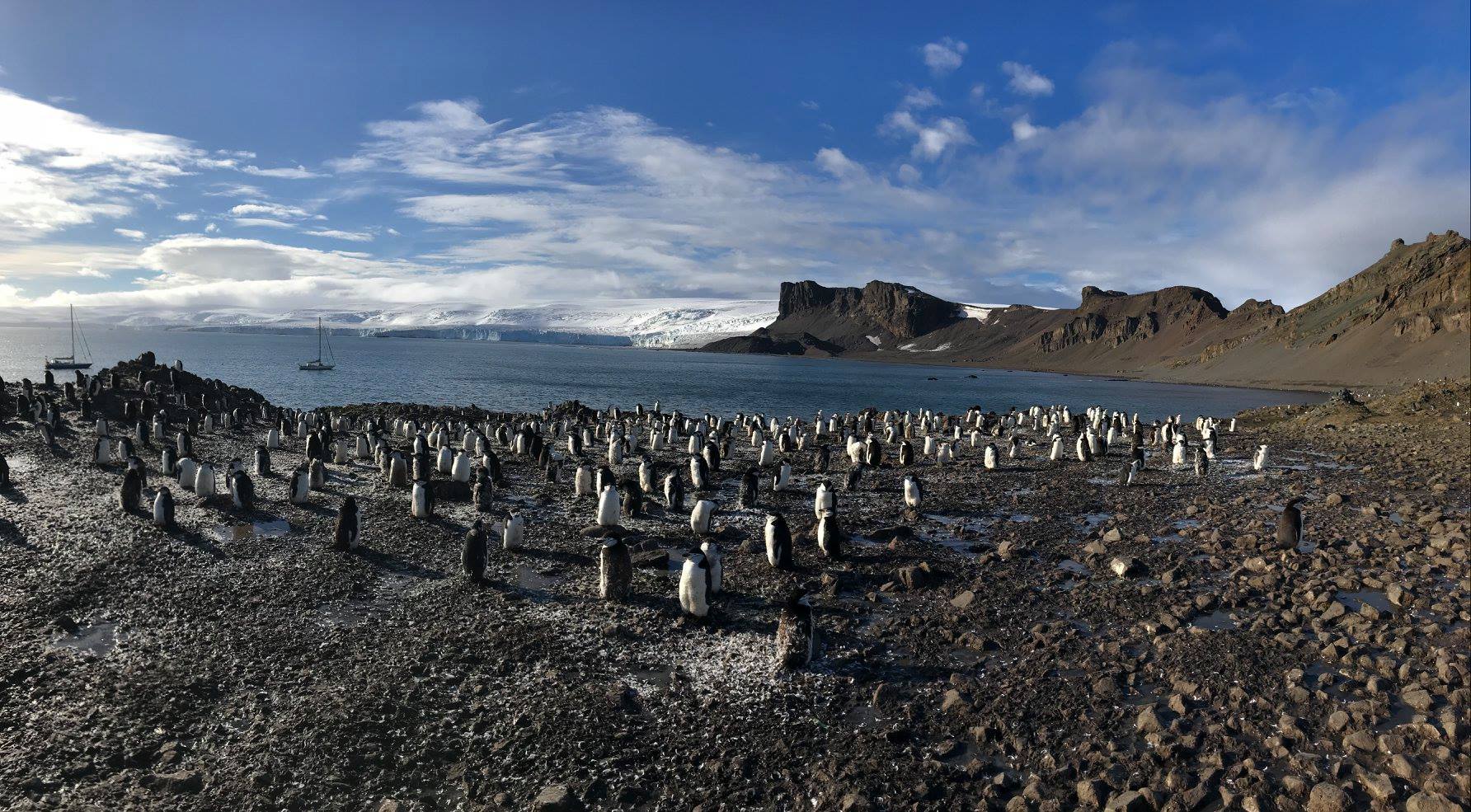 Antarctic Peninsula