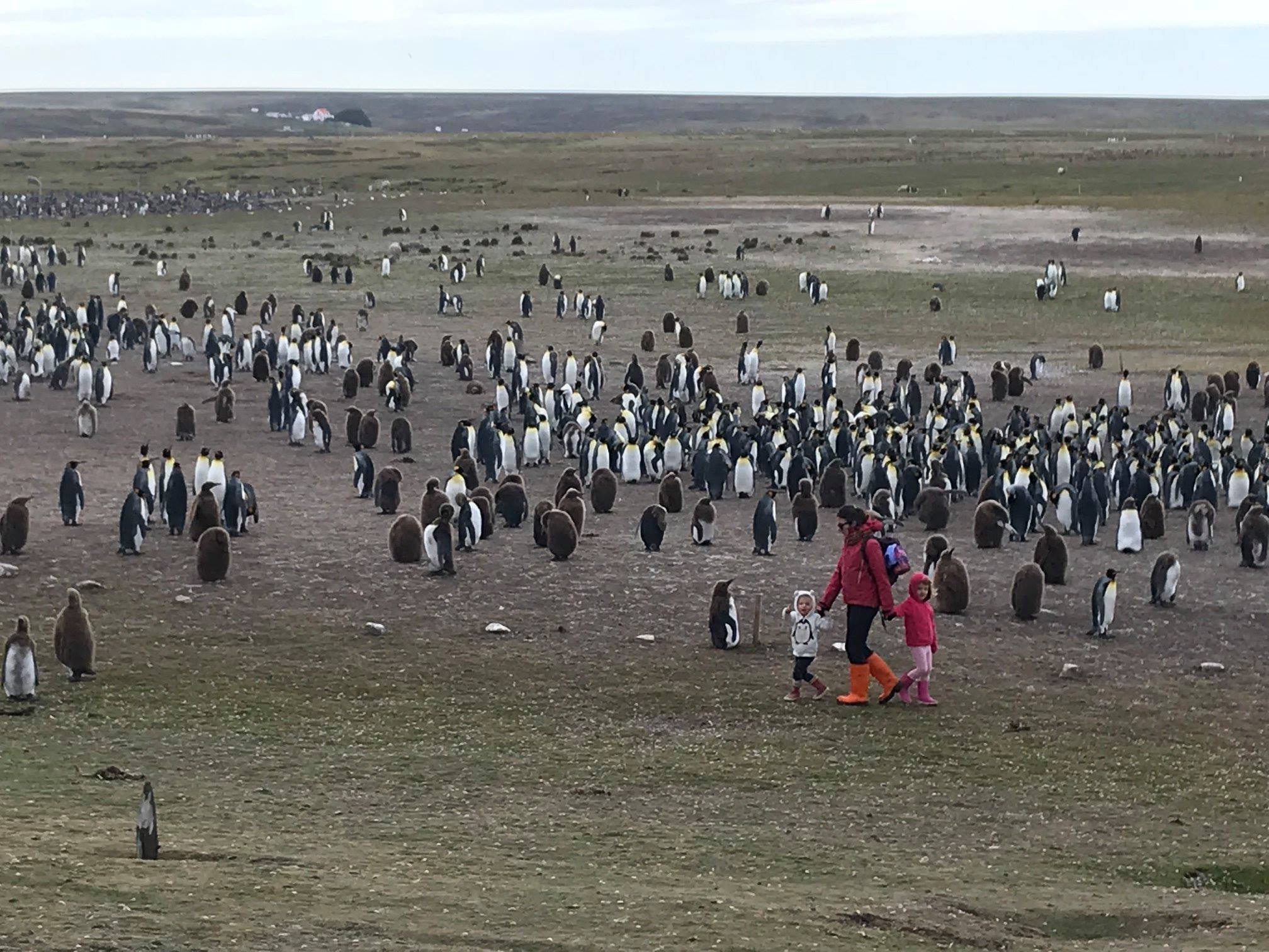 Les filles devant la colonie