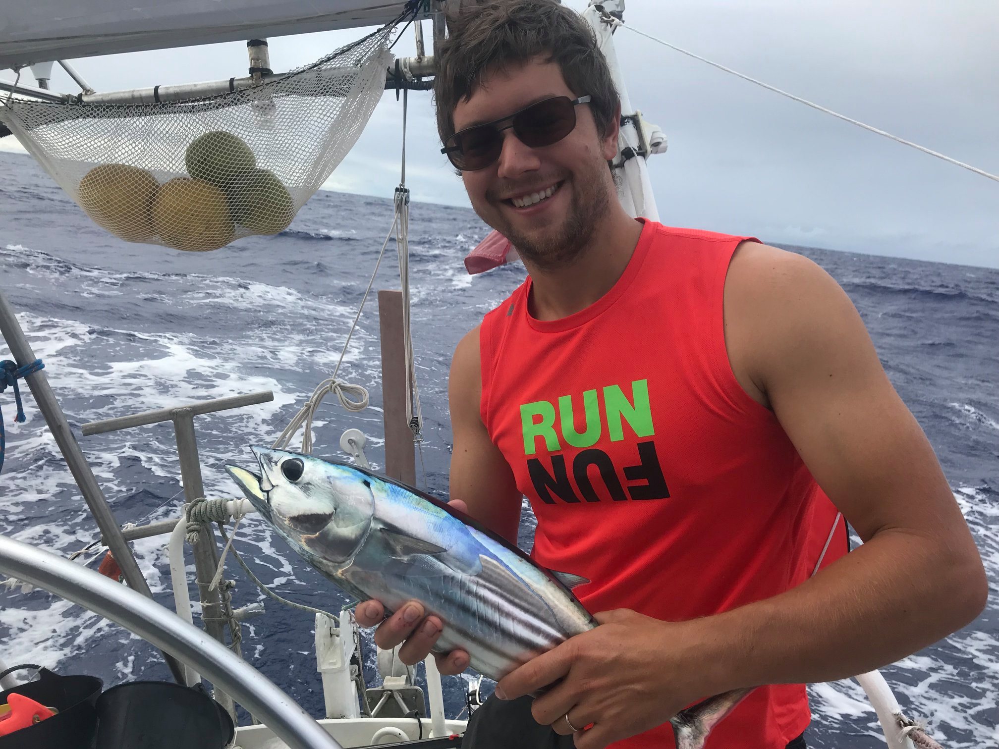 Skipjack Tuna ou Bonite à ventre rayé entre les Gambiers et Papeete