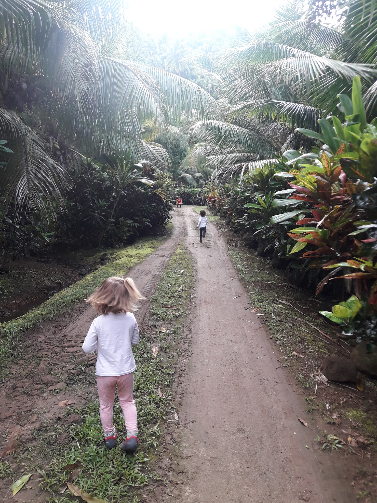 Ballade sur les chemins de Parea, HuahineBaie
