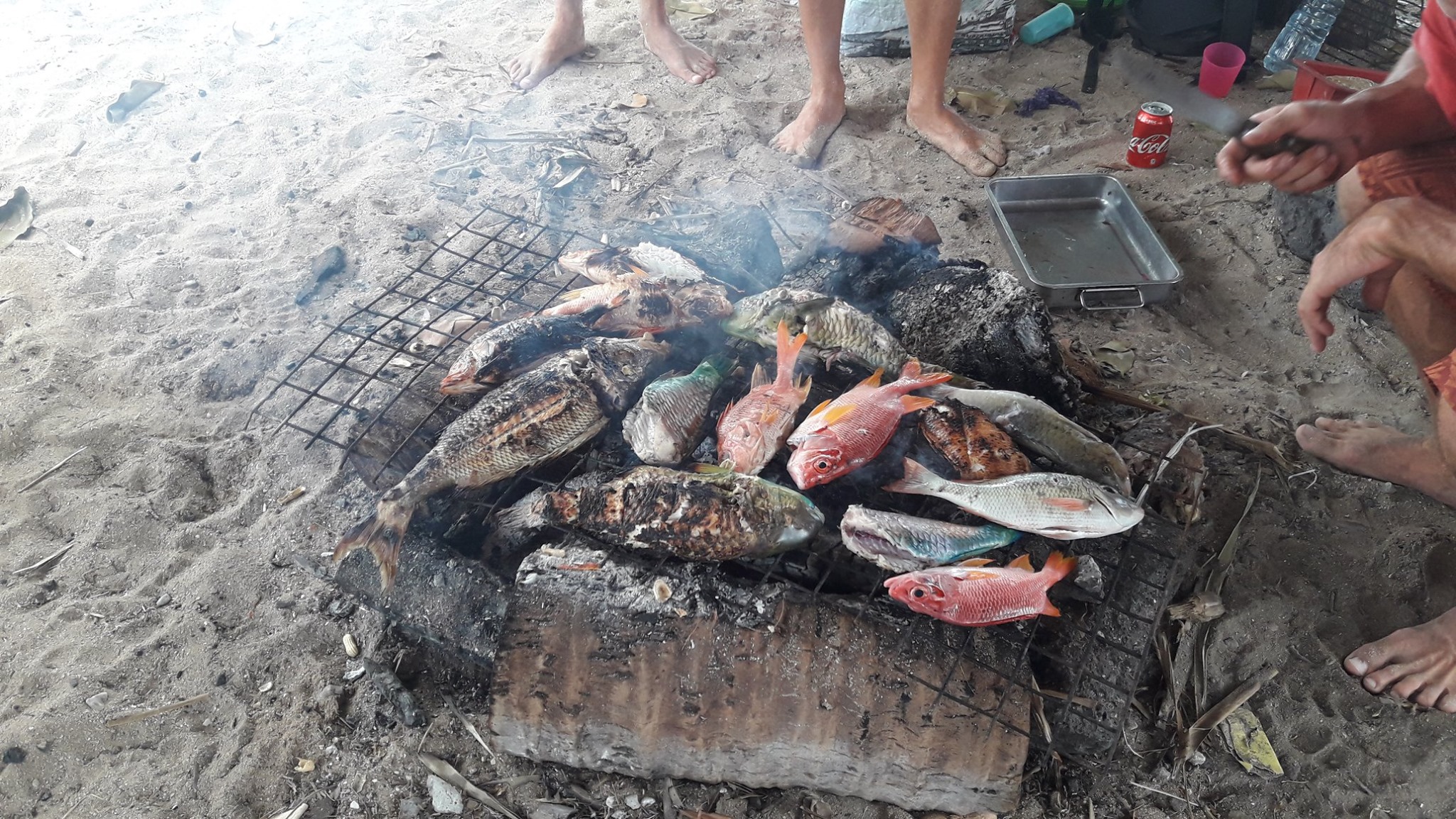 BBQ avec les résultats de chasse de 4 voiliers!