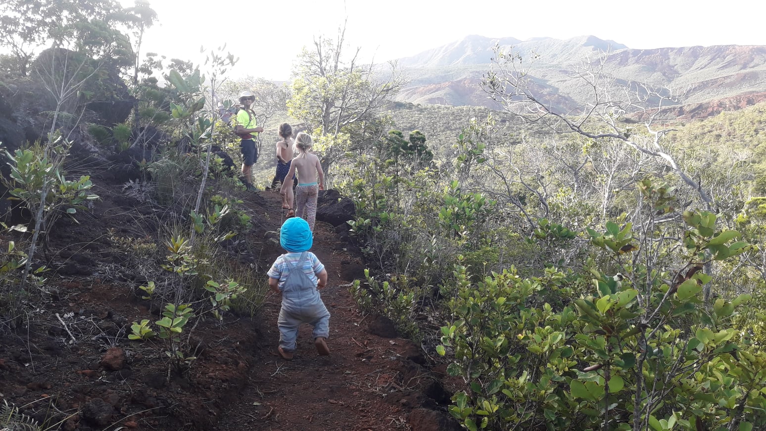 En redescendant sur l'anse Majic