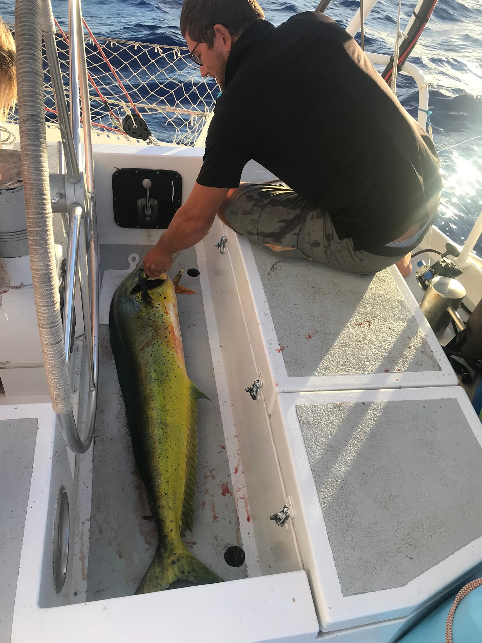 Mahi mahi au petit matin
