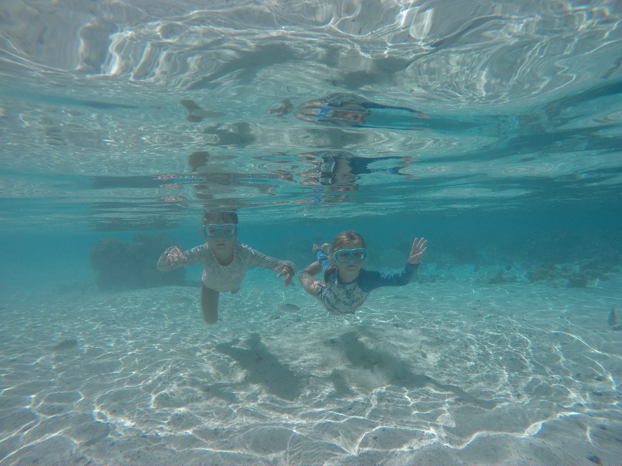 Jardin de corail , Tahaa