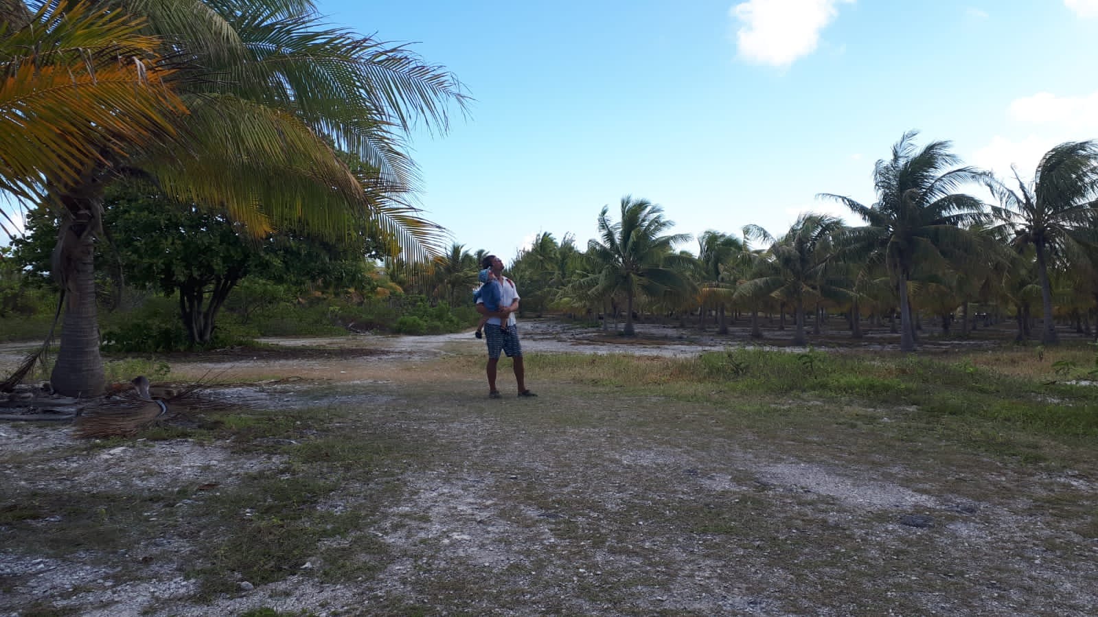Cocoteraie, Fakarava
