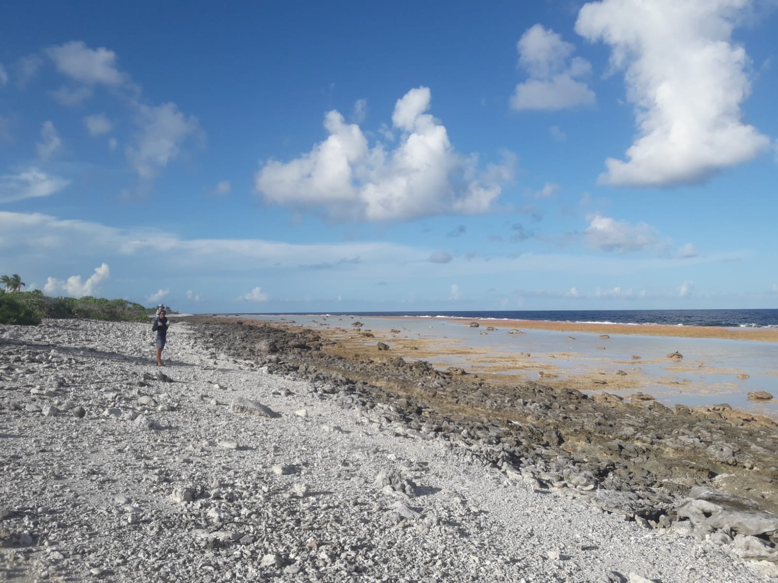 Ballade sur le récif côte est, Tikehau