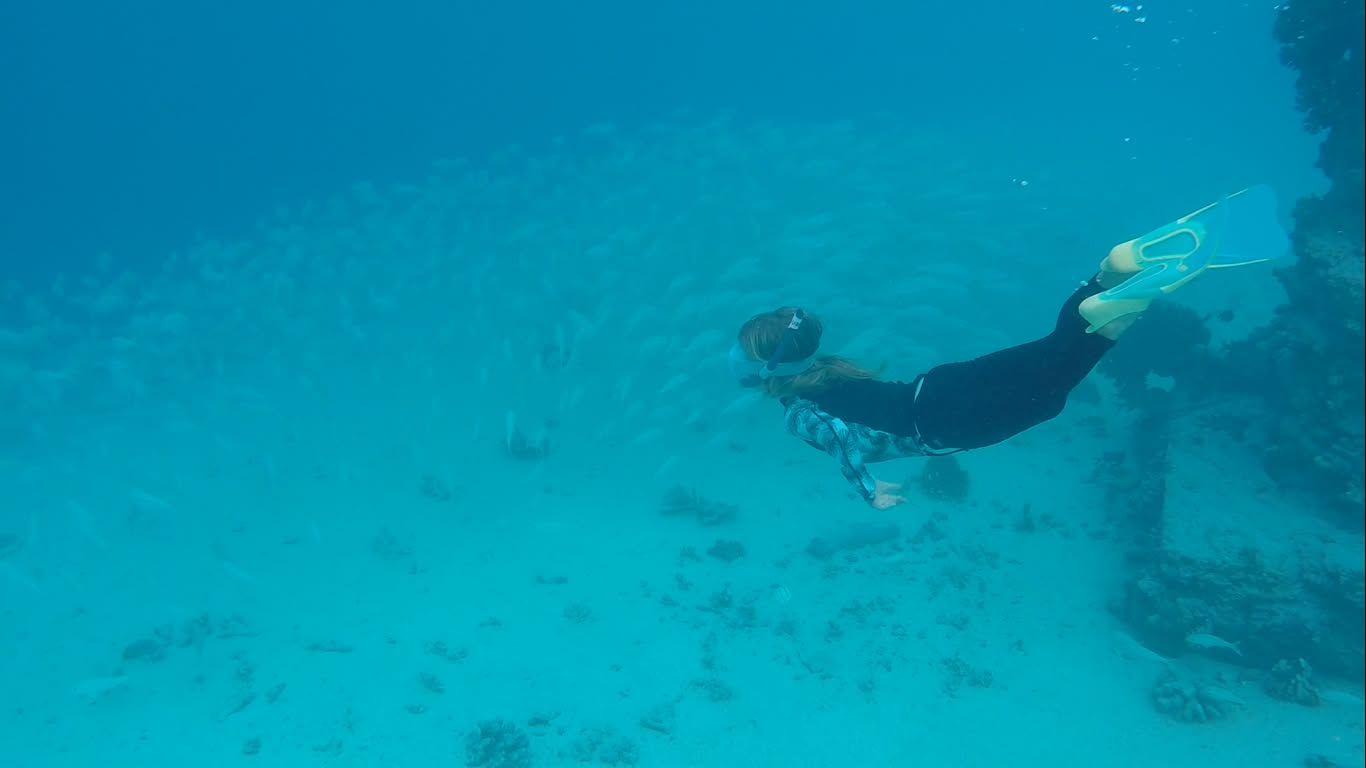 Diane la sirène, Toau