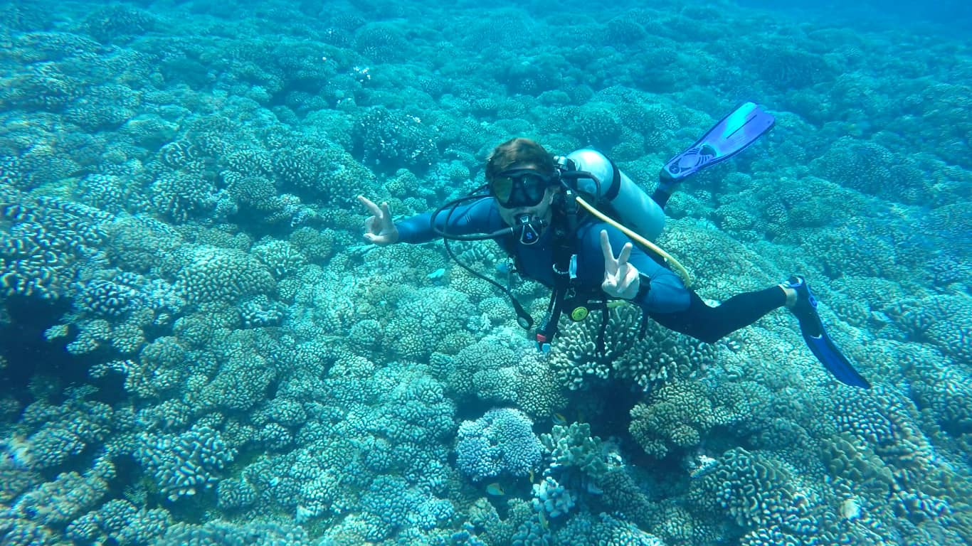 Jardin de corail