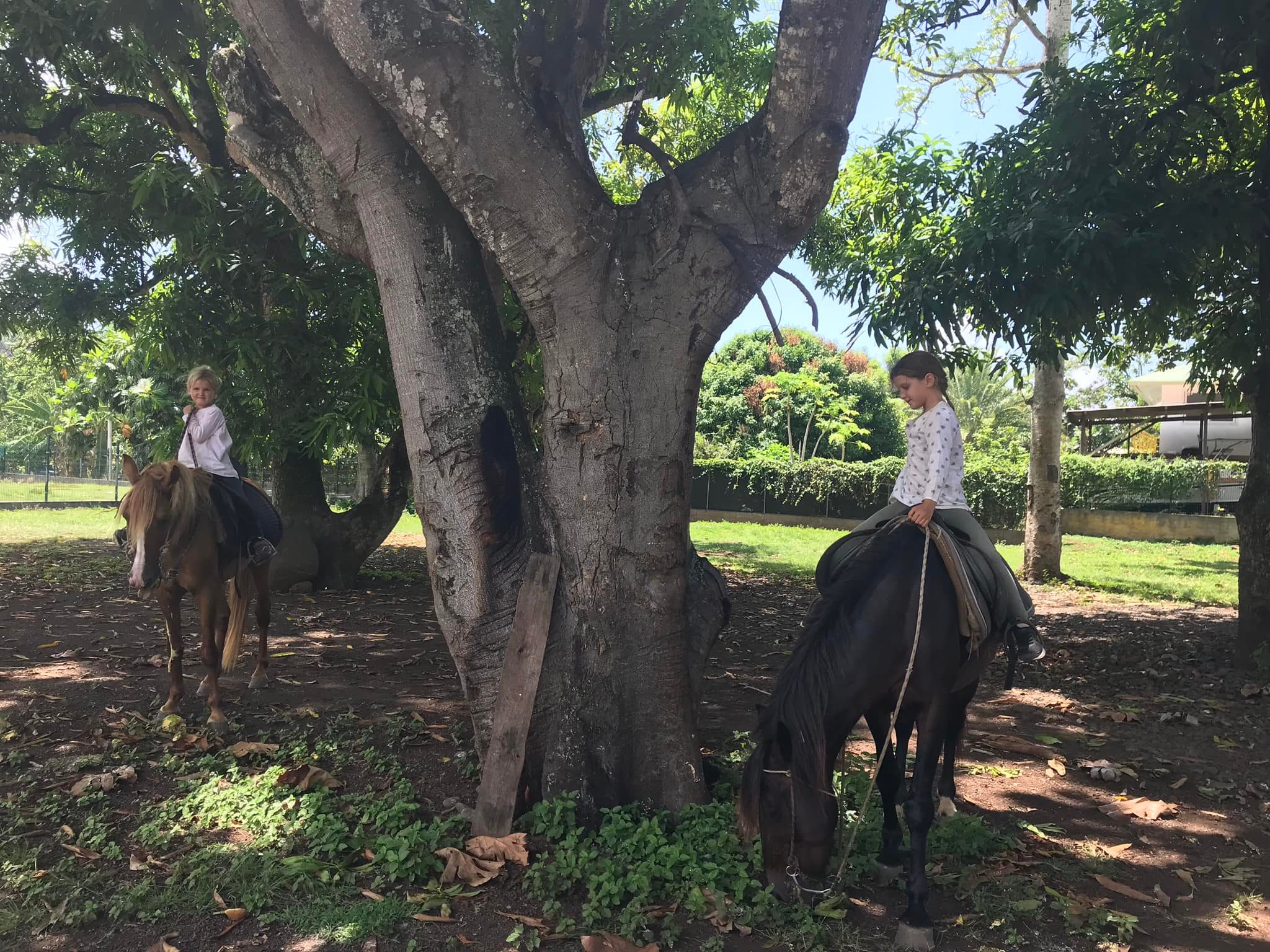 Ballade à cheval, Hiva oa