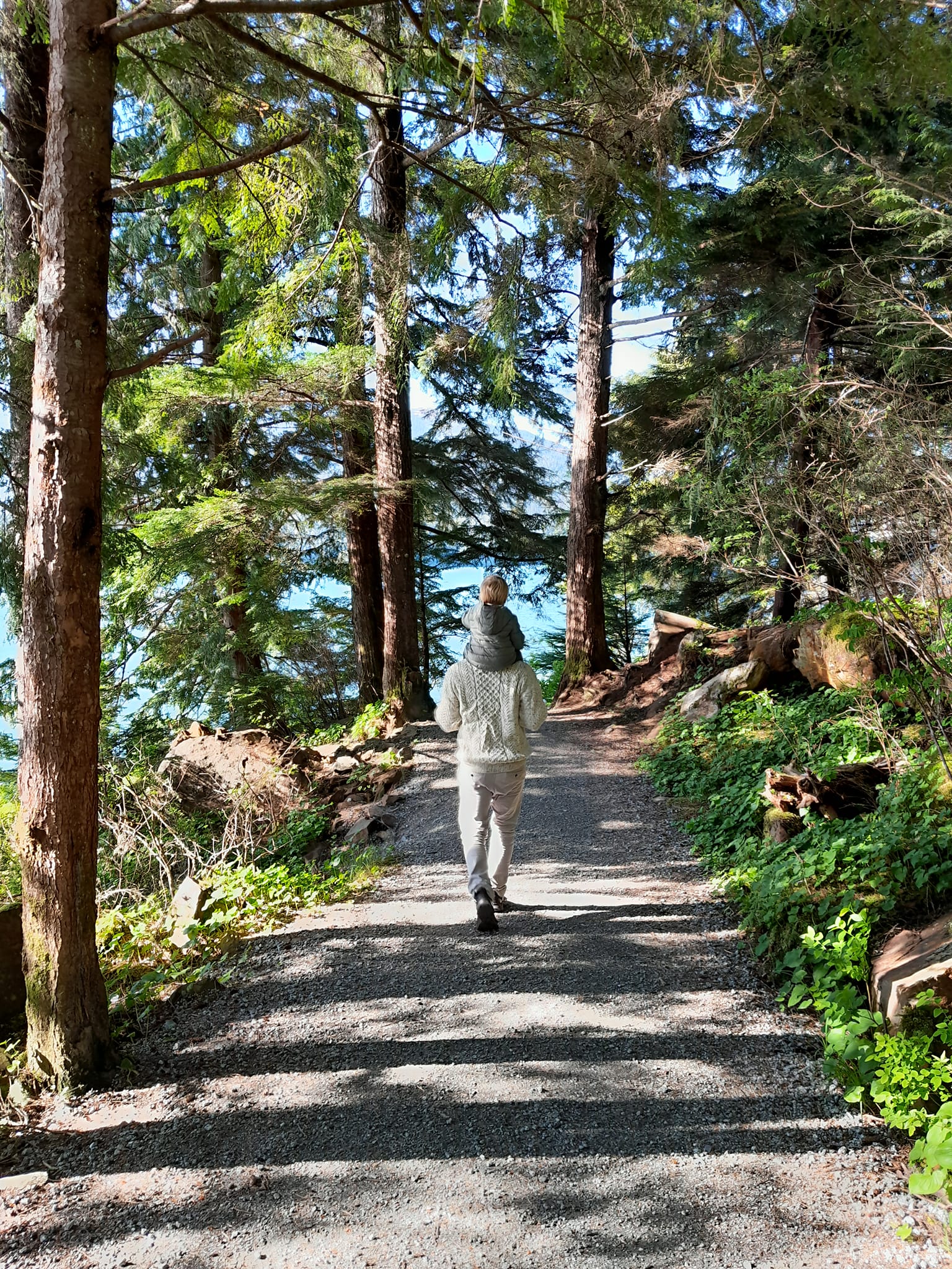 Rushbrook trail , Prince Rupert