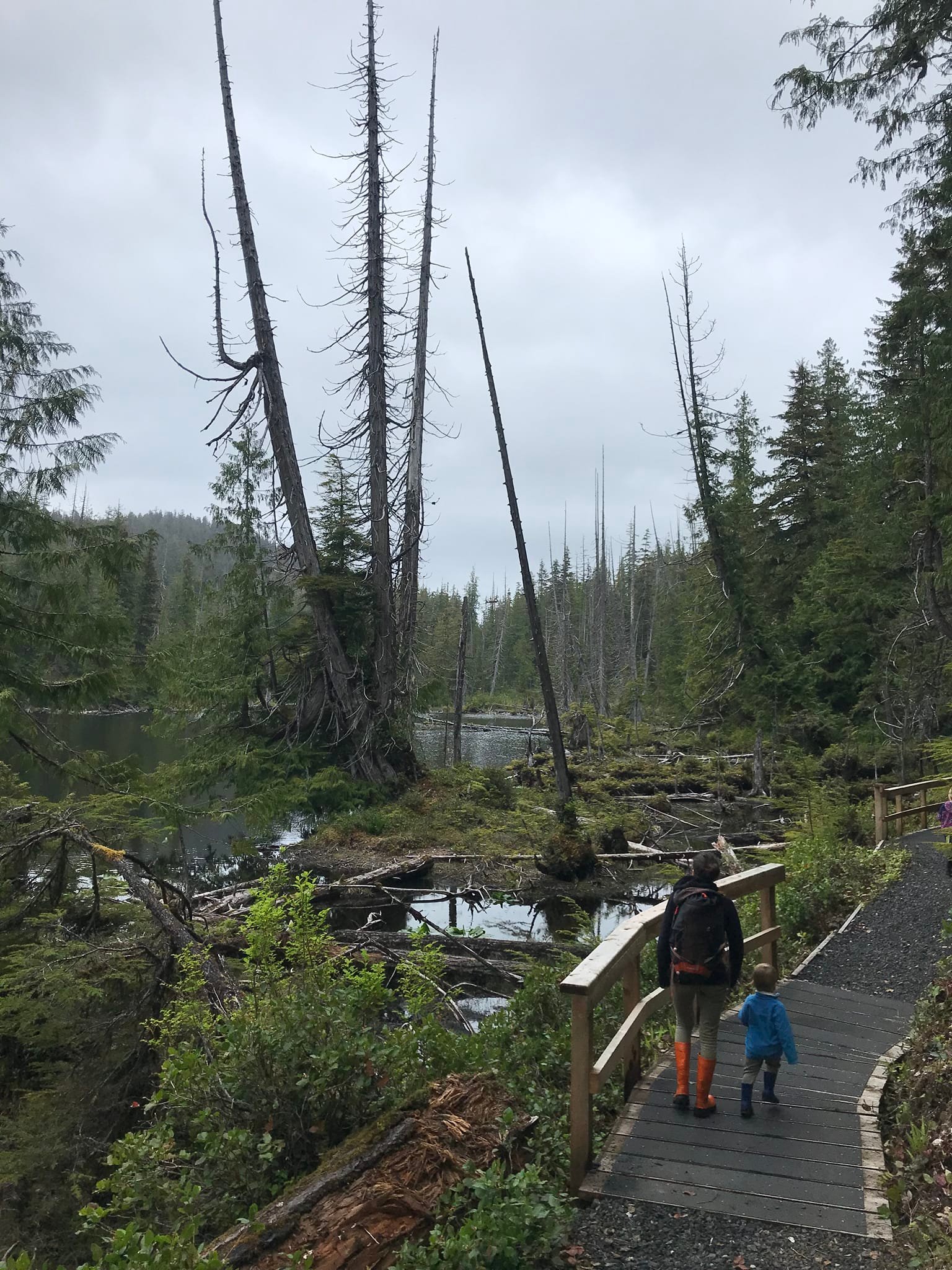 Spirit Lake trail , Skidegate