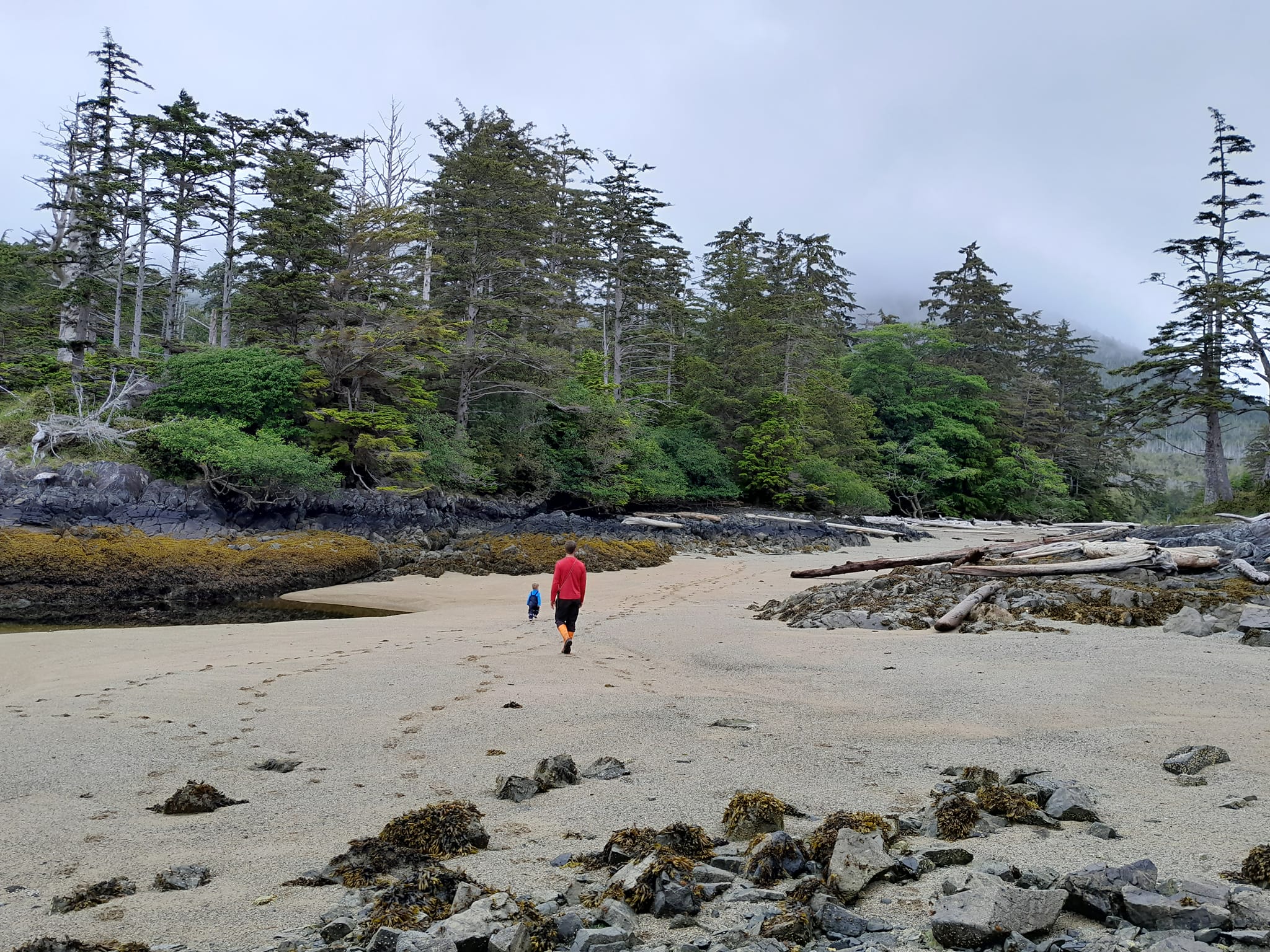 Wells Cove