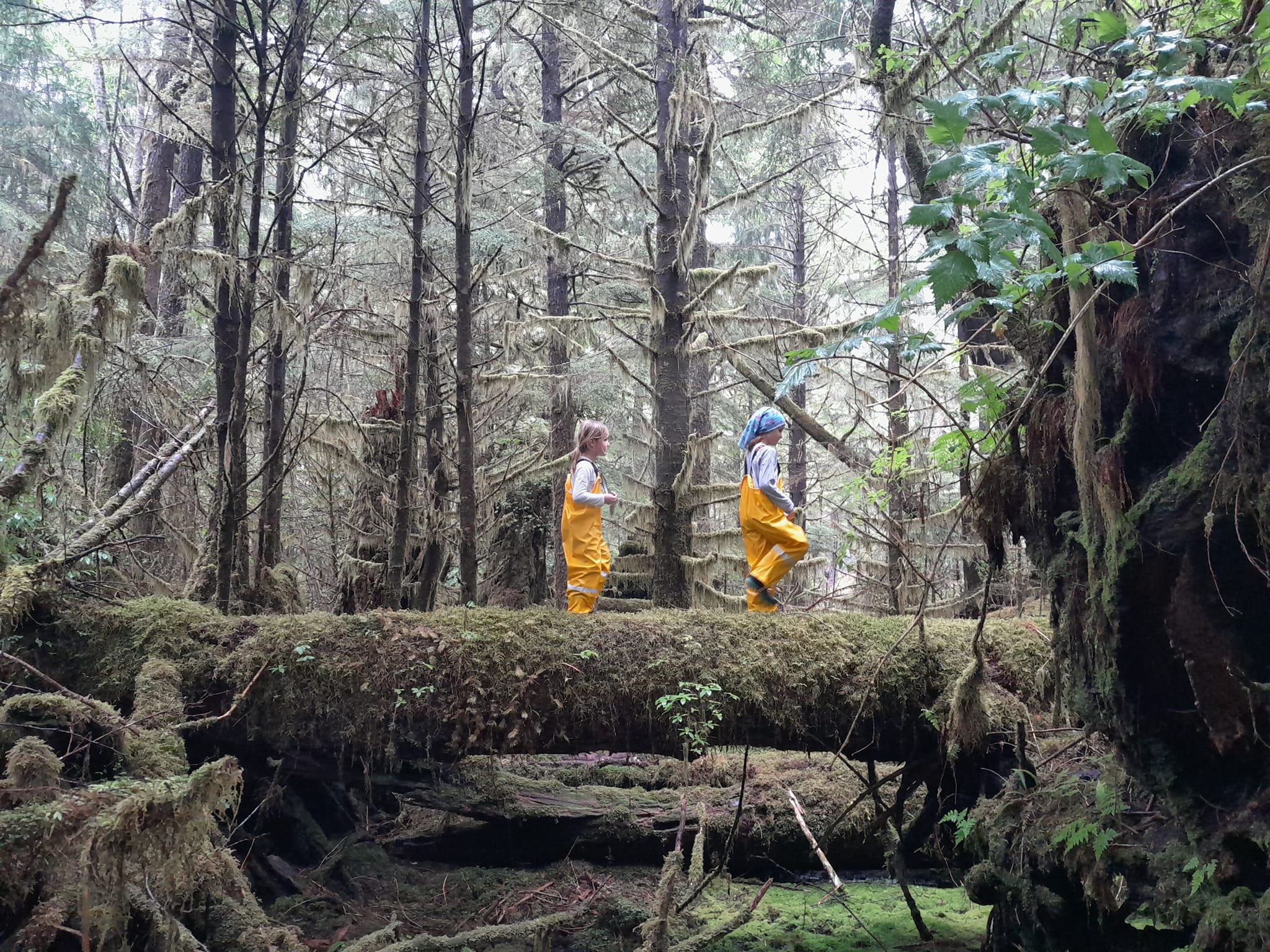 Foret, Bottle Lake
