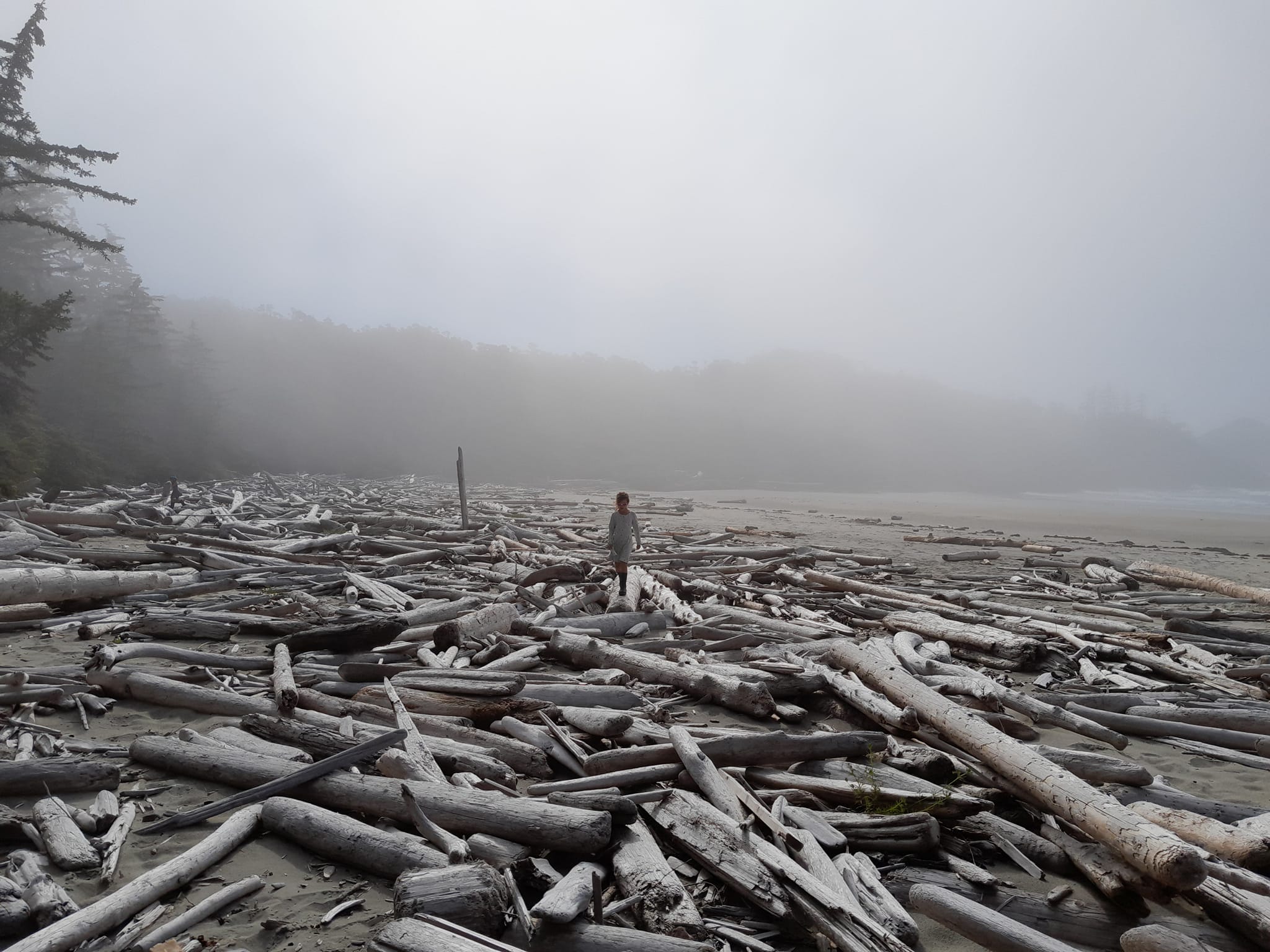 Seventh beach, Calvert island