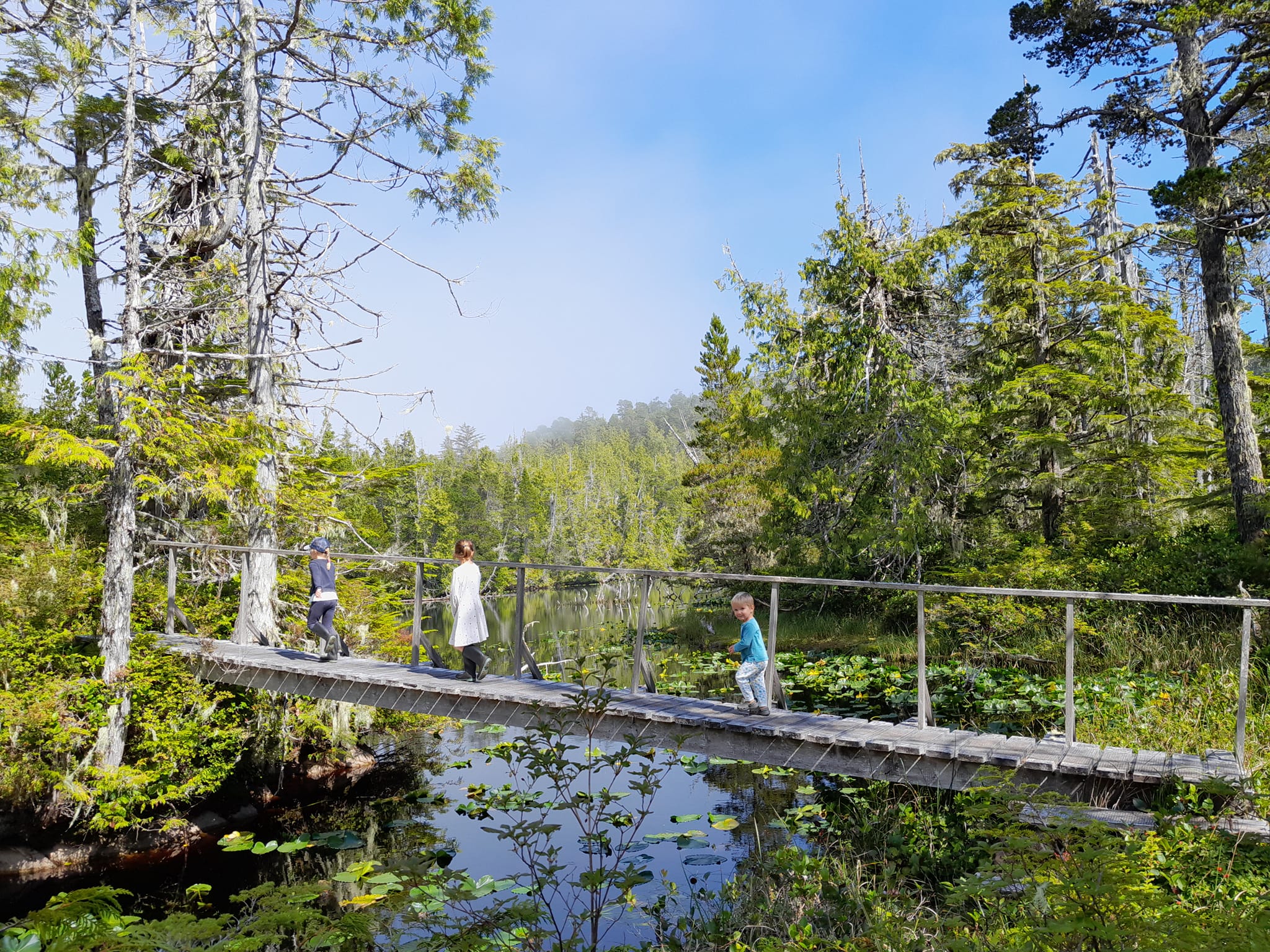 Calvert island