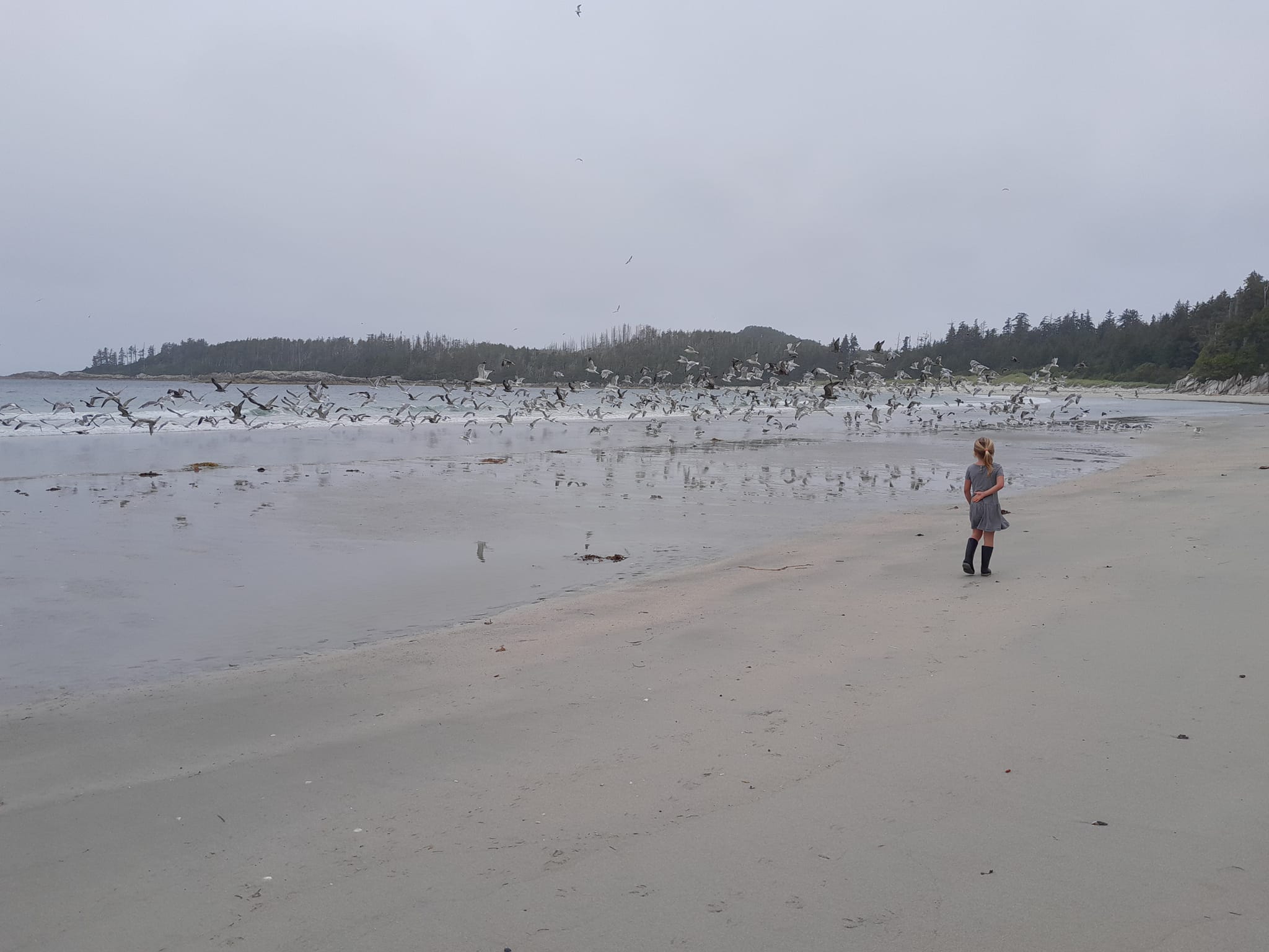 West beach , Calvert Island