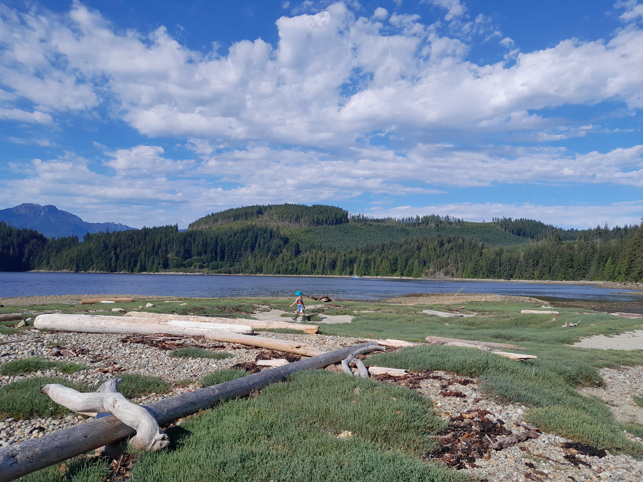 Knox bay