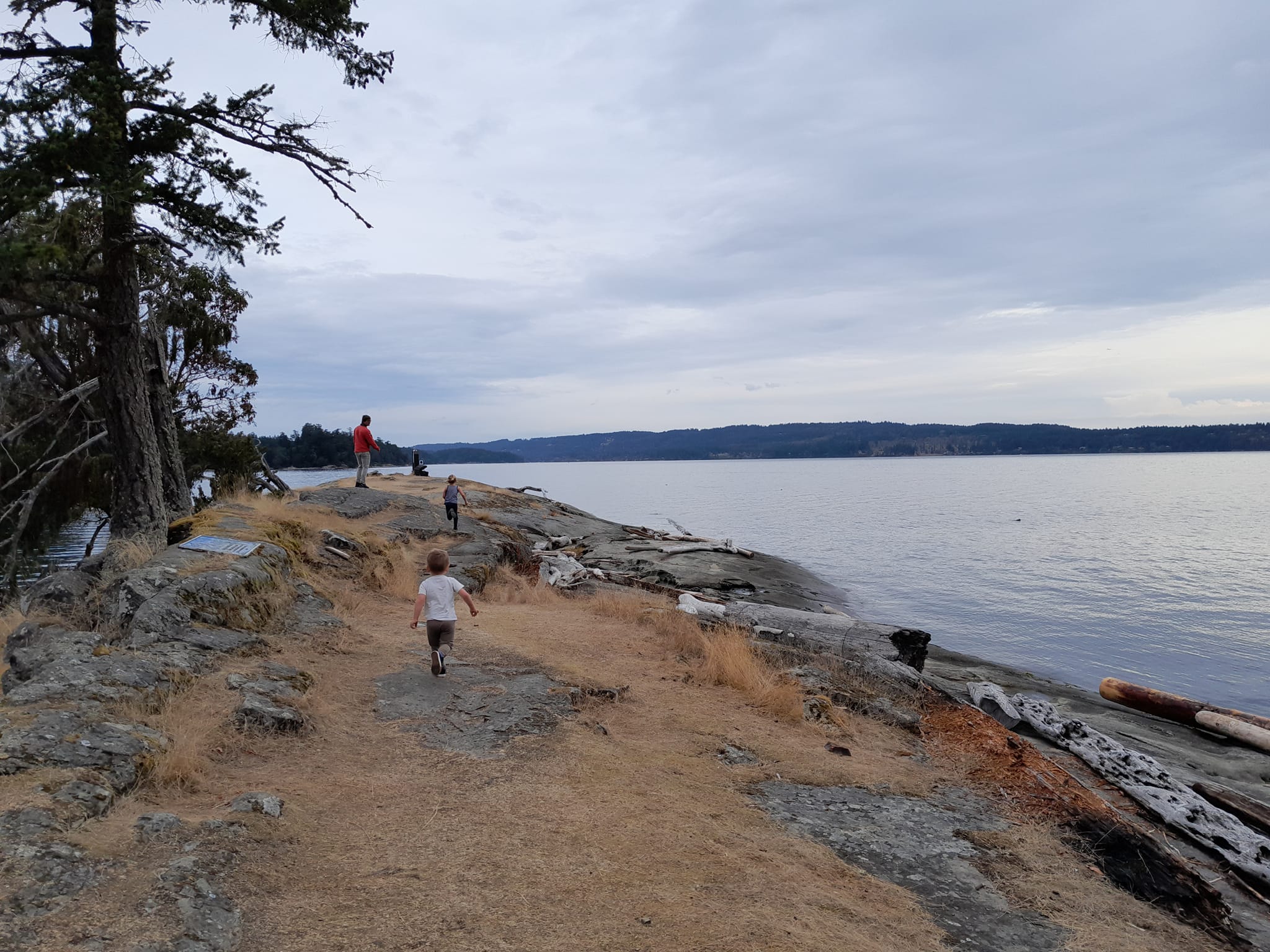 Pirates Cove  De Courcy island