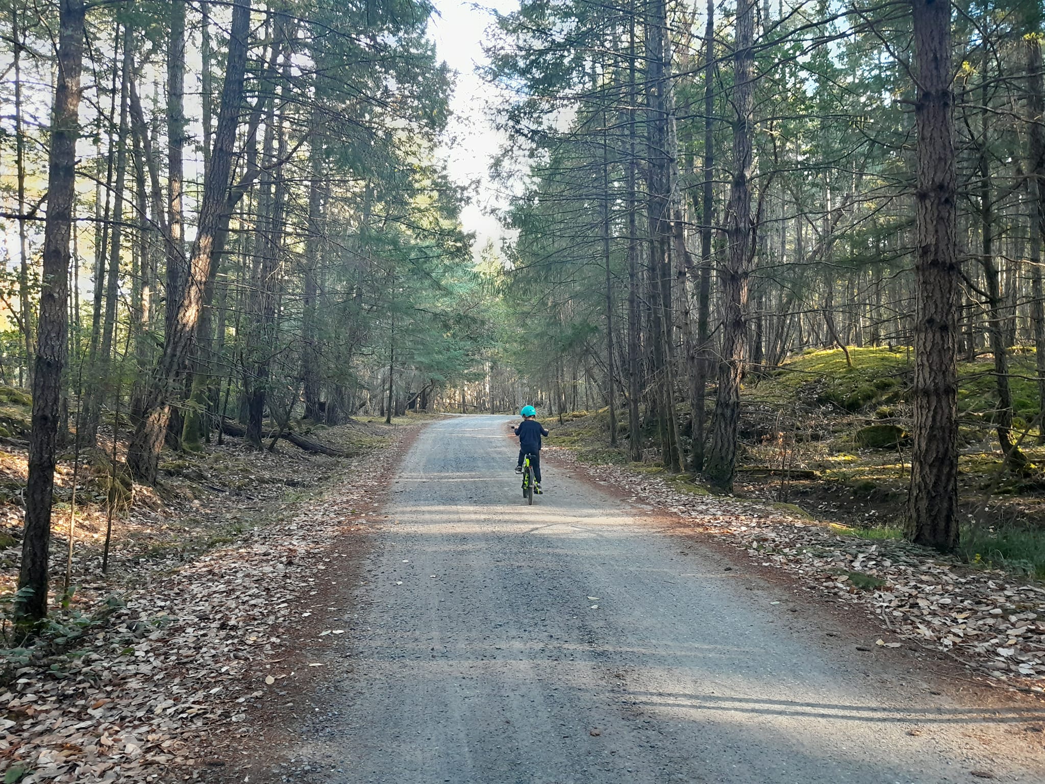 Nina en vélo sur De Courcy island