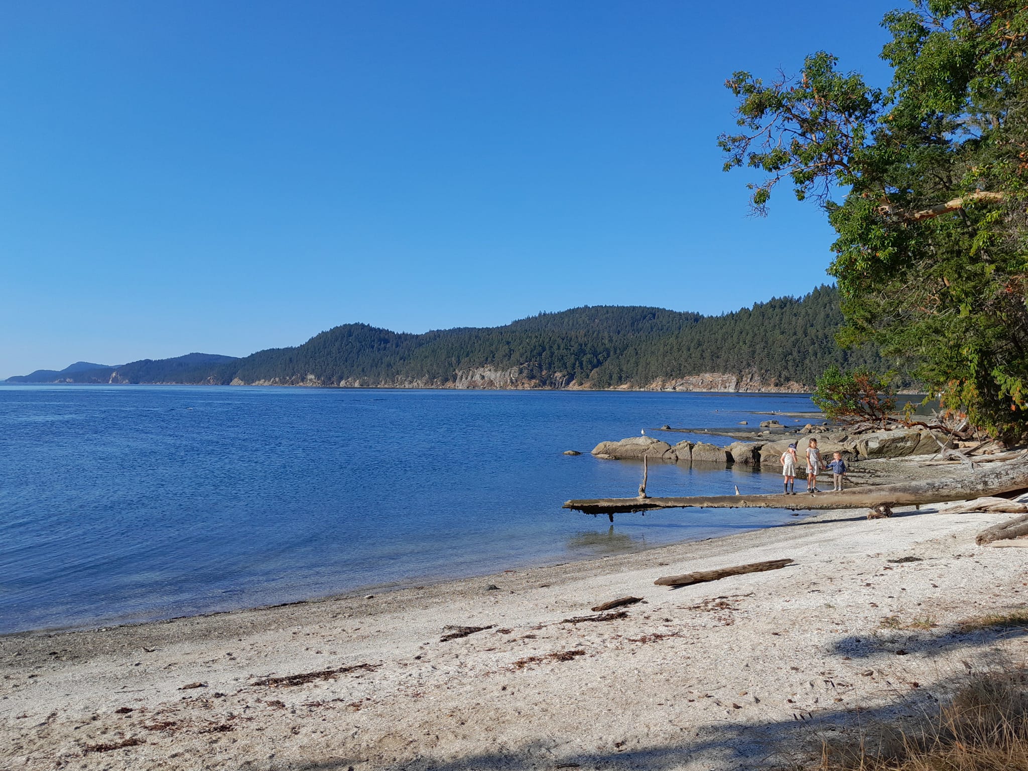 Montague Harbor
