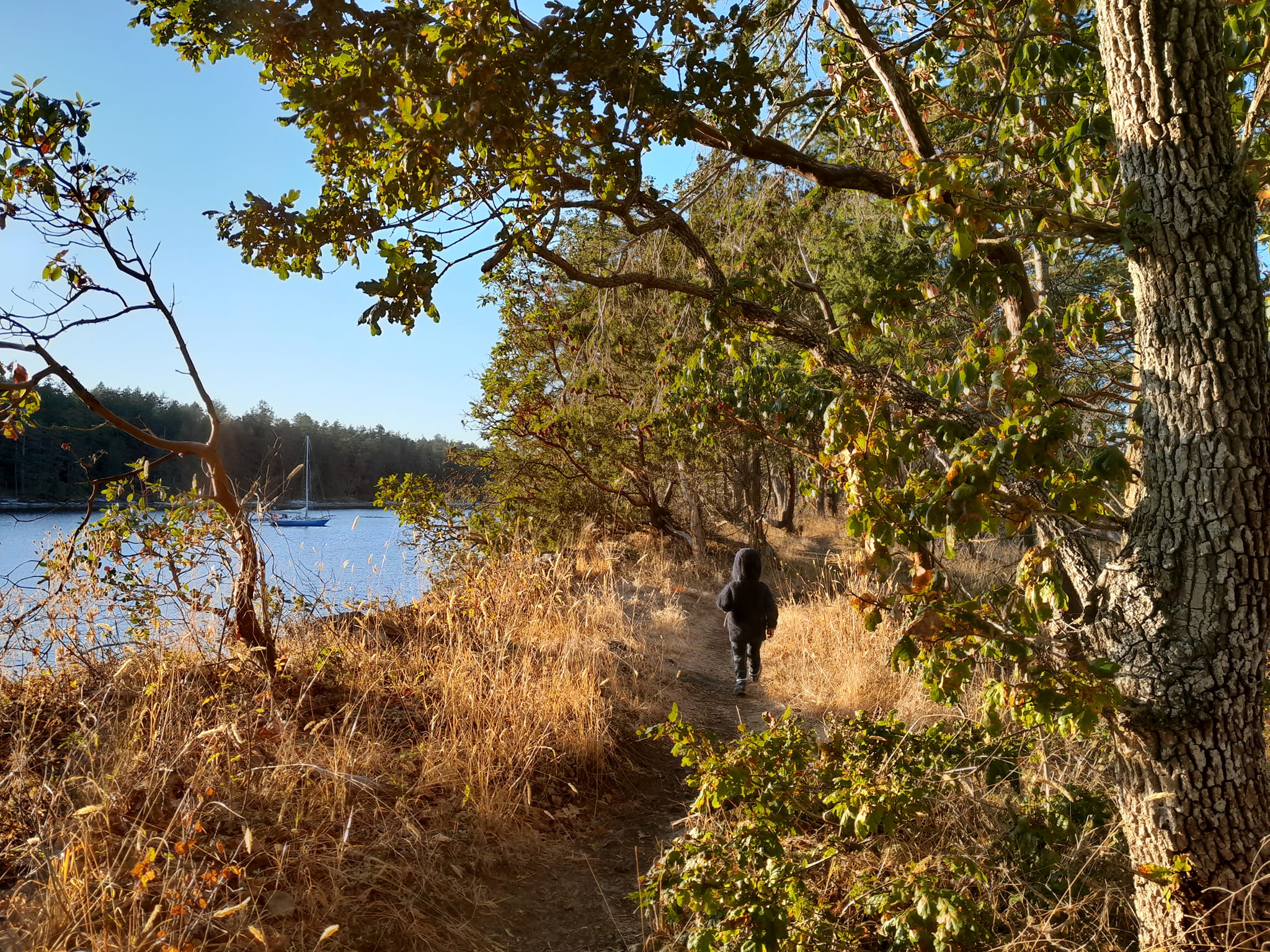 Mouillage de Kendrick island