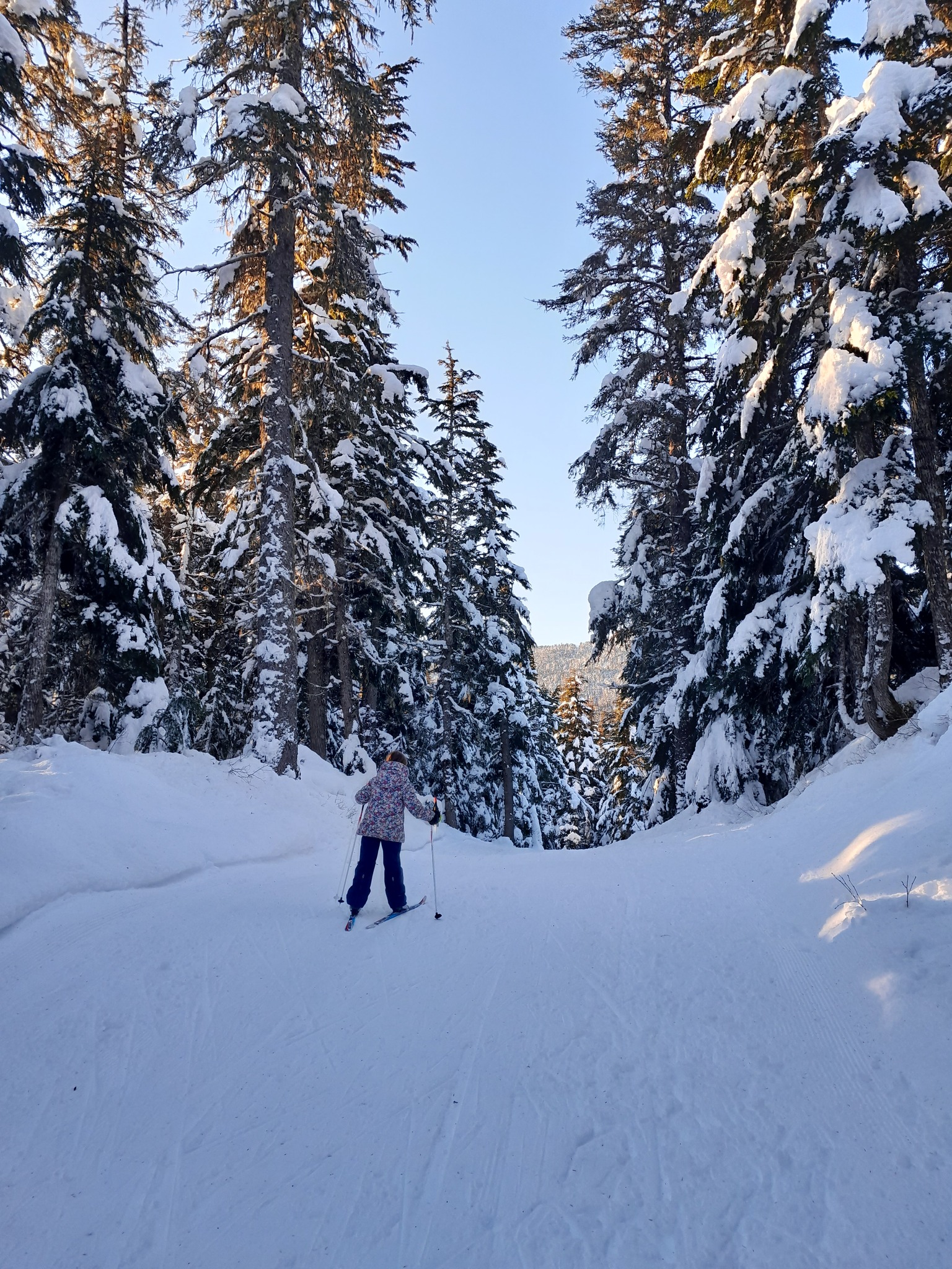Nordic ski à 12 mile