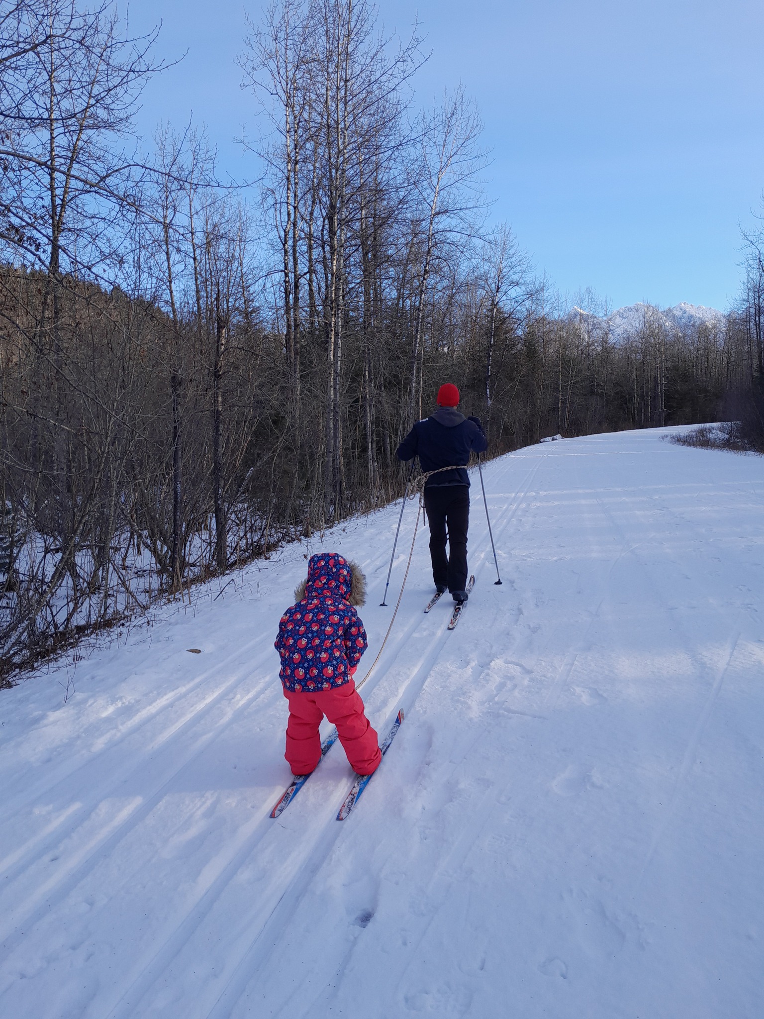 Exit glacier road