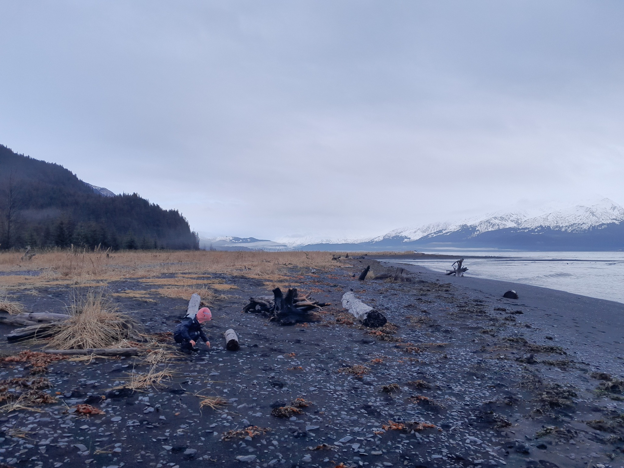 Tonsina point
